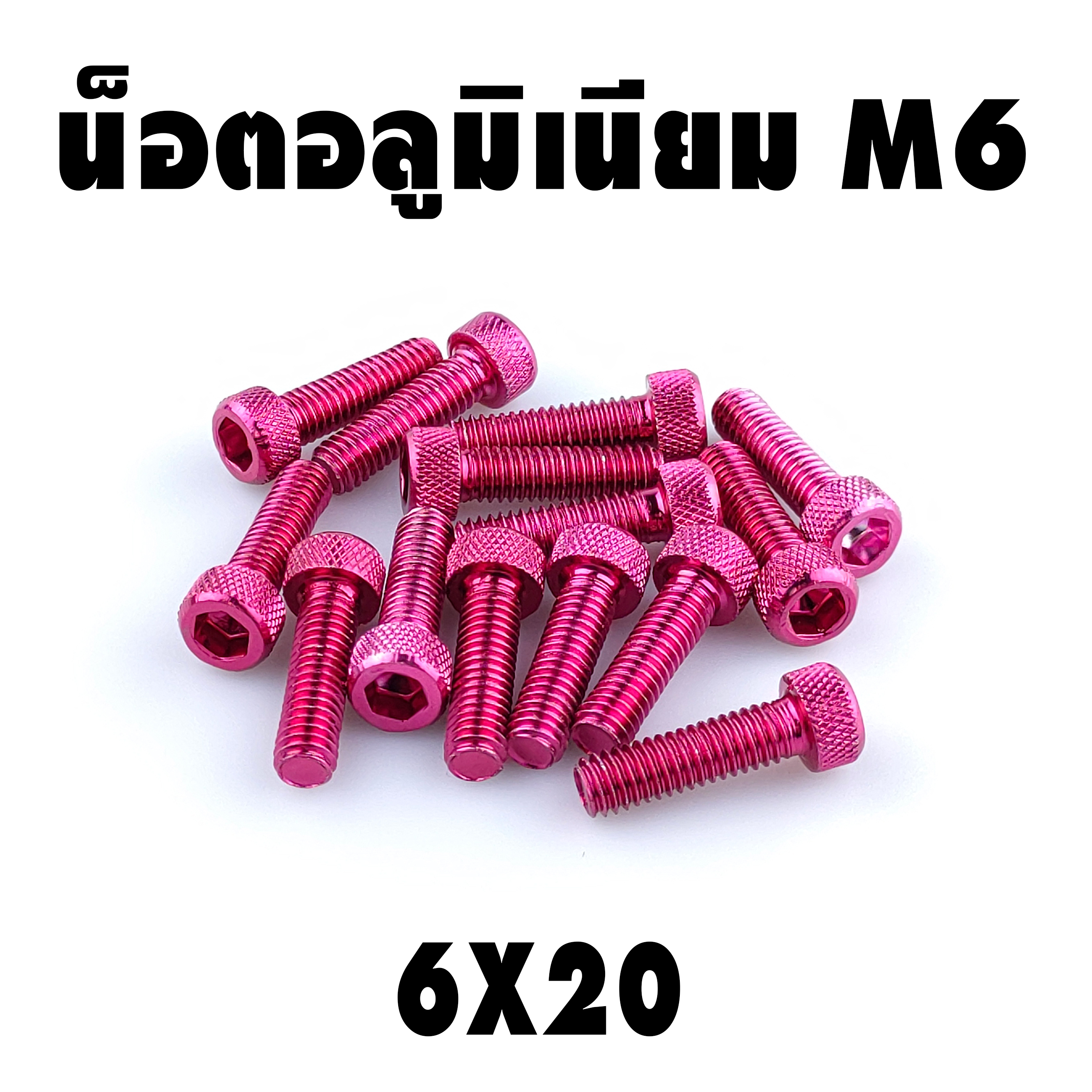 น็อตแต่ง อลูมิเนียม 6*20 (เบอร์ 10) ชุดละ 10 ตัว ราคา 100 บาท
