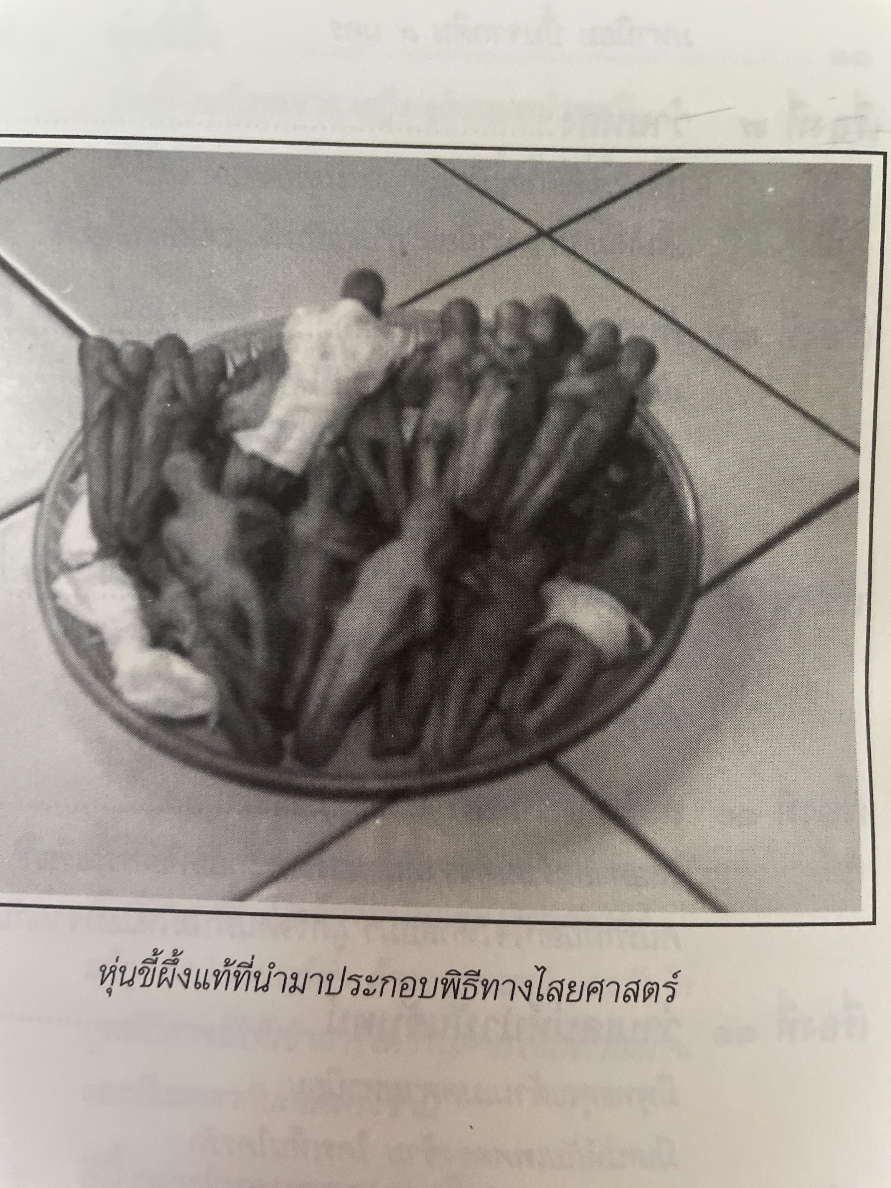 วิขาไสยศาสตร์ ตอน ทำเสน่ห์ให้รัก ทำคุณไสยให้หลง โดย ดาห์ภ เสาเหม 700 กรัม