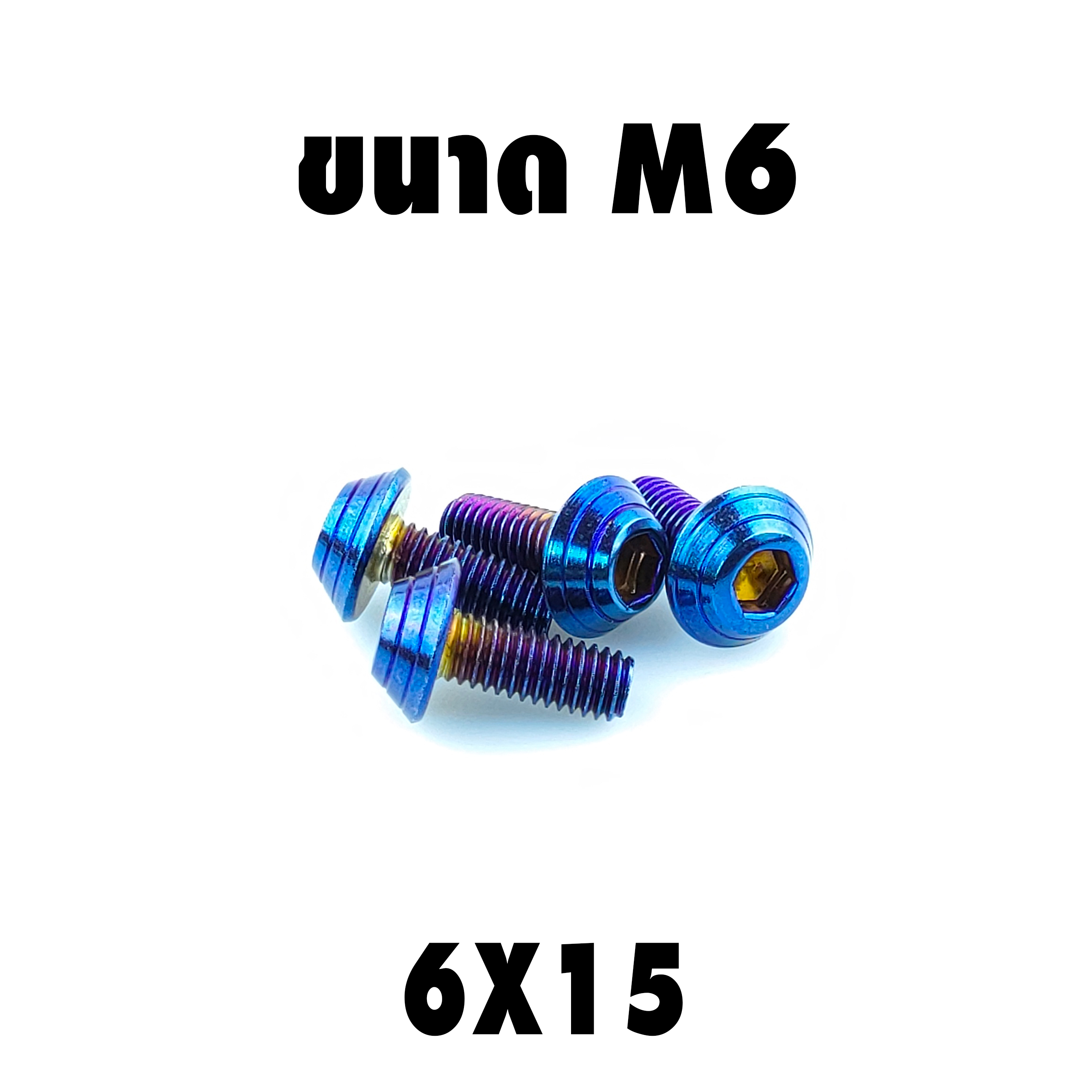 น็อตแต่งก้นหอย (เบอร์10 M6X15)