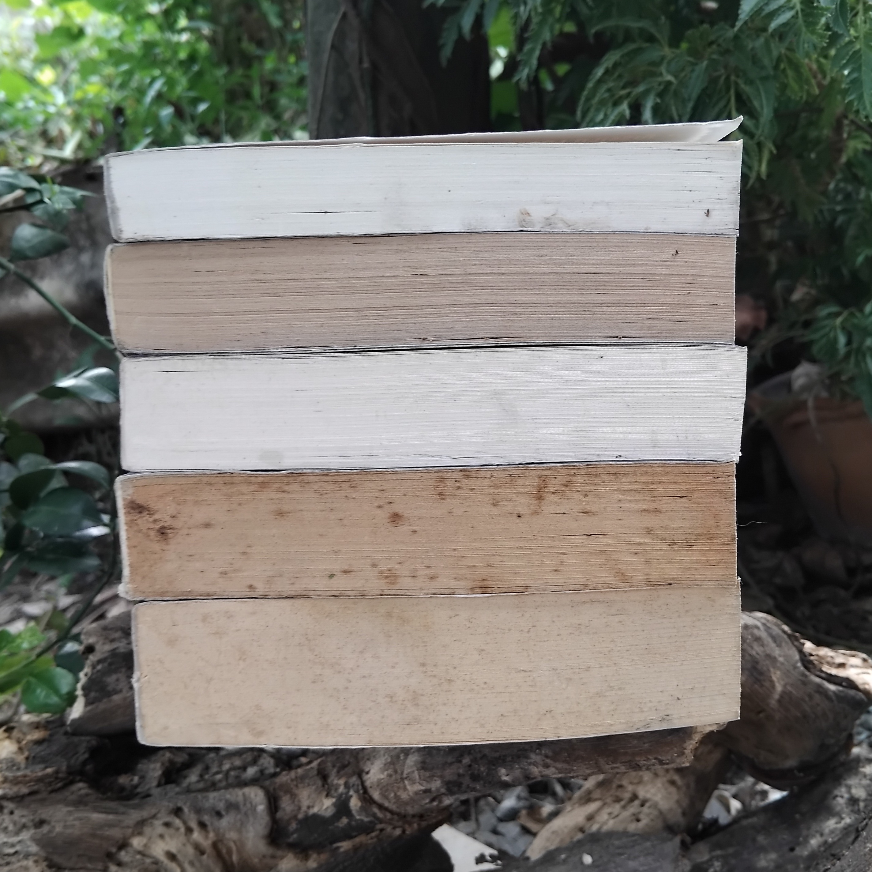 รวมนิยายแปลสะเทือนขวัญ เขย่าจิต สภาพสะสมทุกเล่มครับ