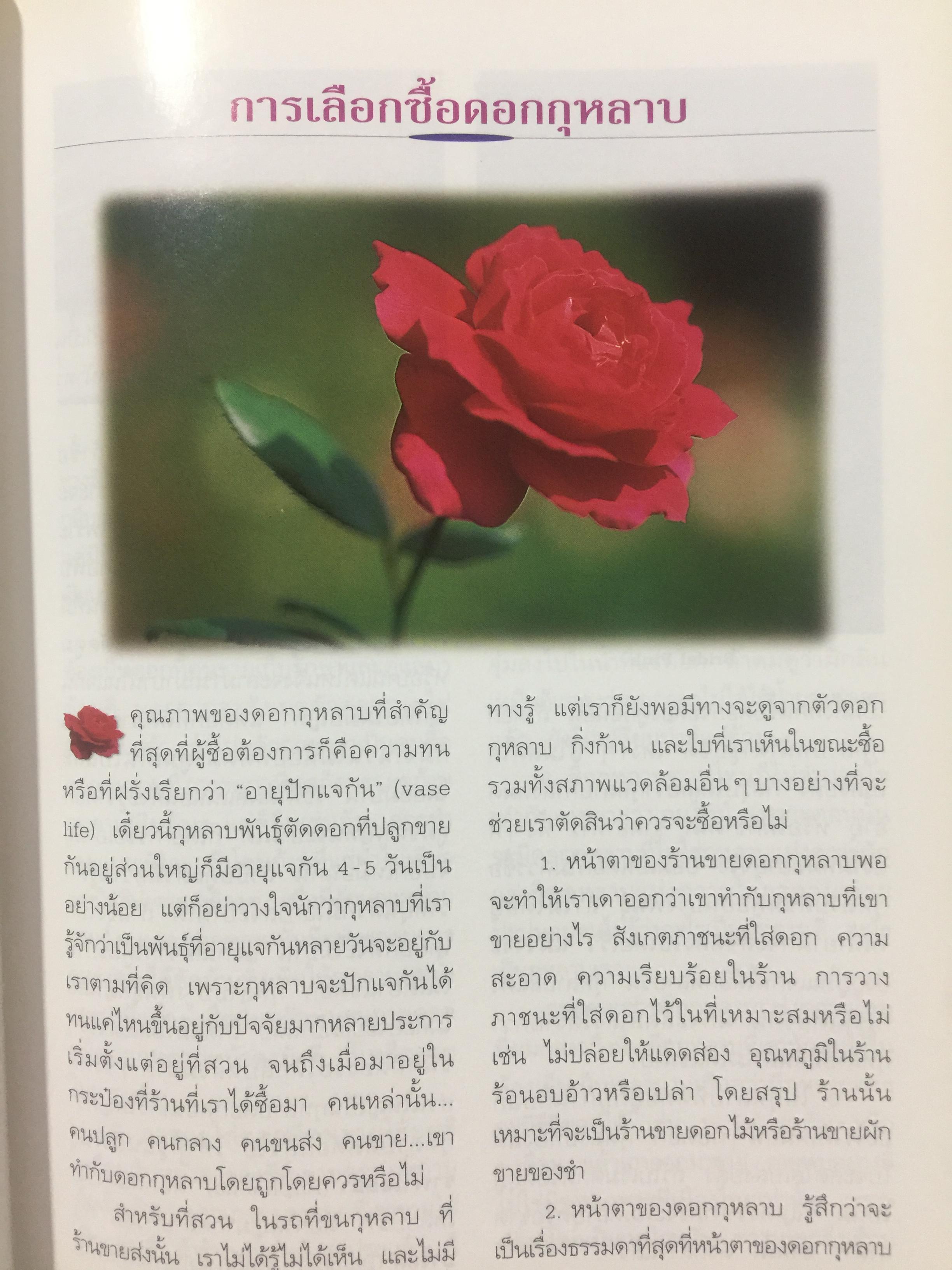 กุหลาบ. ผู้เขียน พจนา นาควัชระ 3 กก.
