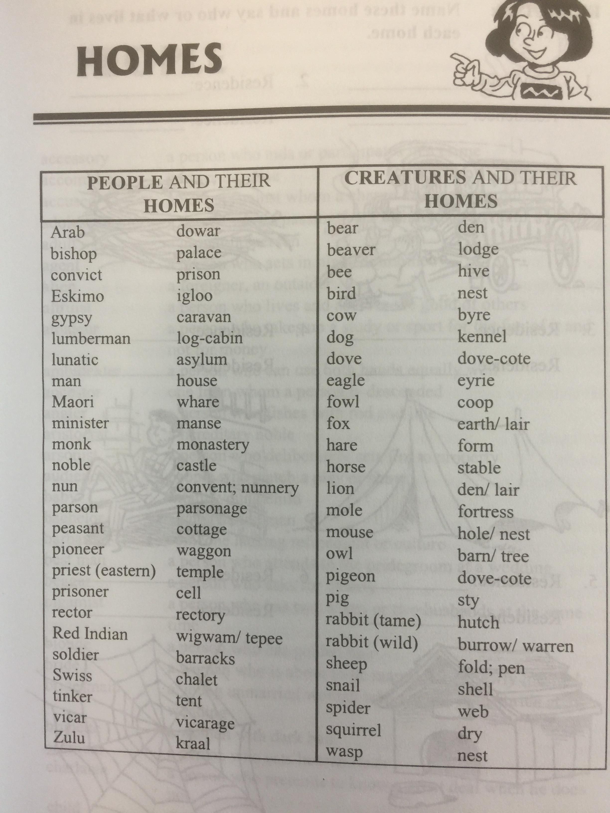 BASIC STUDENTS ‘ VOCABULARY is a most comprehensive guide to mastering the English language BY Sophie Leu . 0 กก.