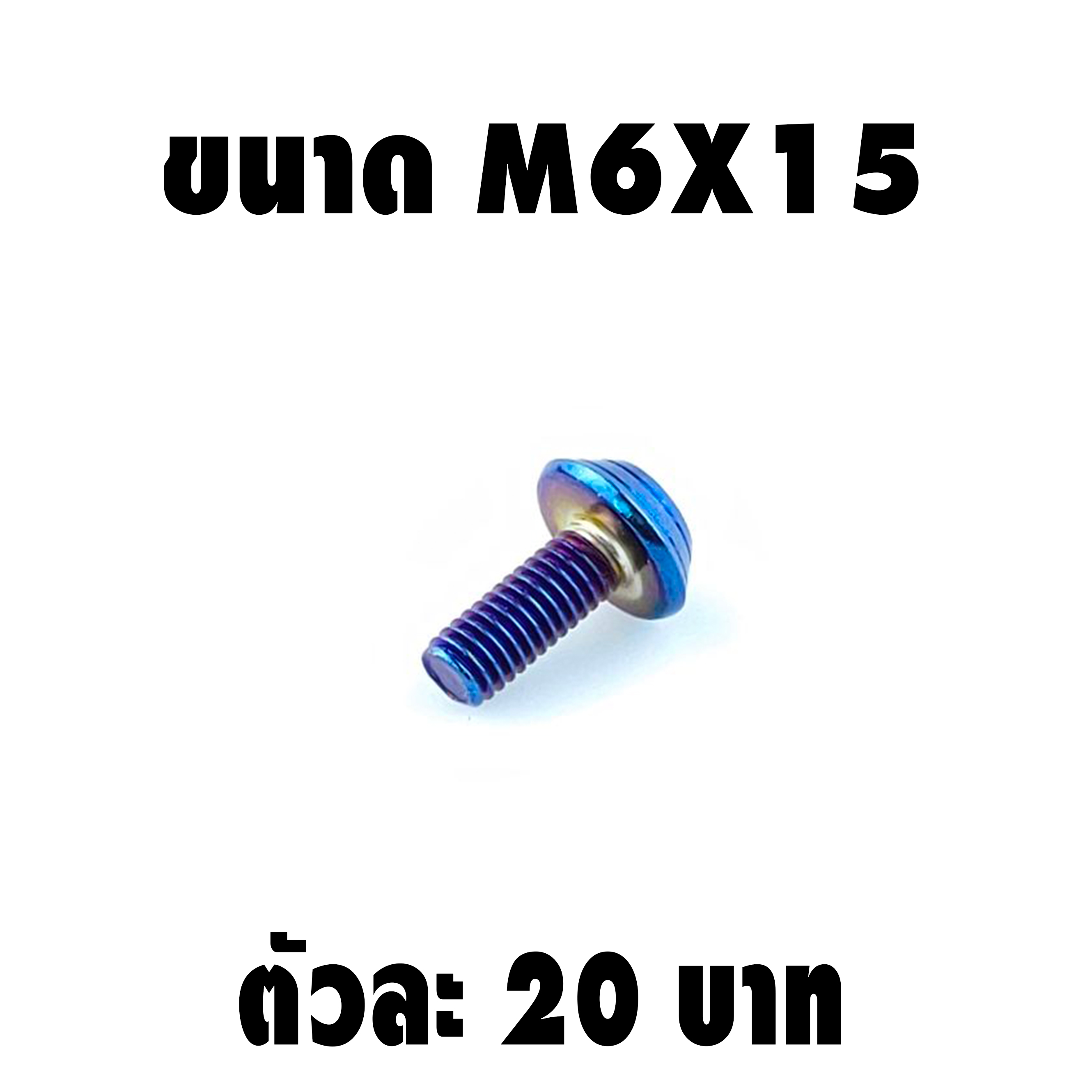 น็อตแต่งก้นหอย (เบอร์10 M6X15)