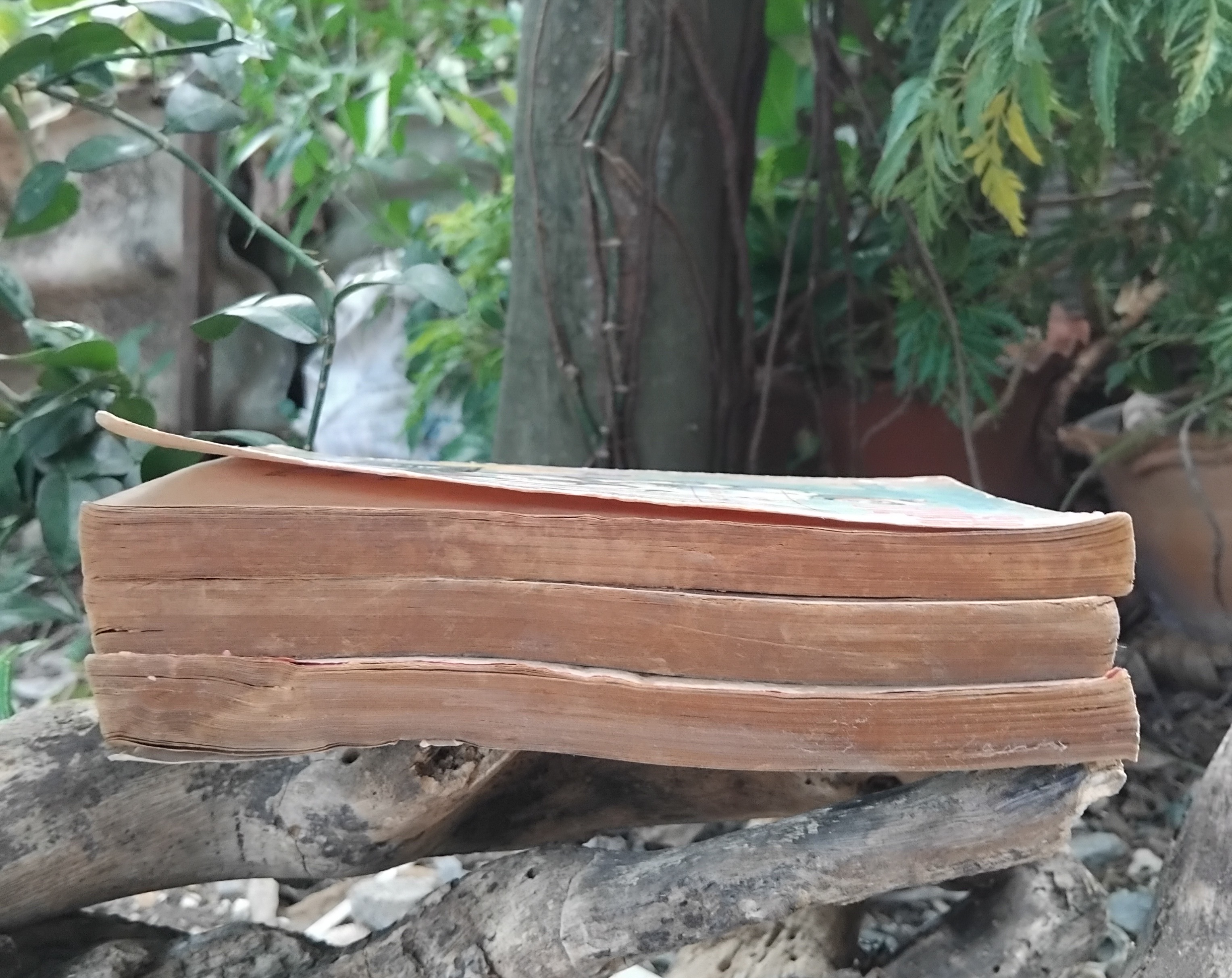 รวมหนังสือแนววรรณกรรมเยาวชนแปล ของ ท.ว.พ. ปกเก่า น่าอ่าน น่าสะสมครับ