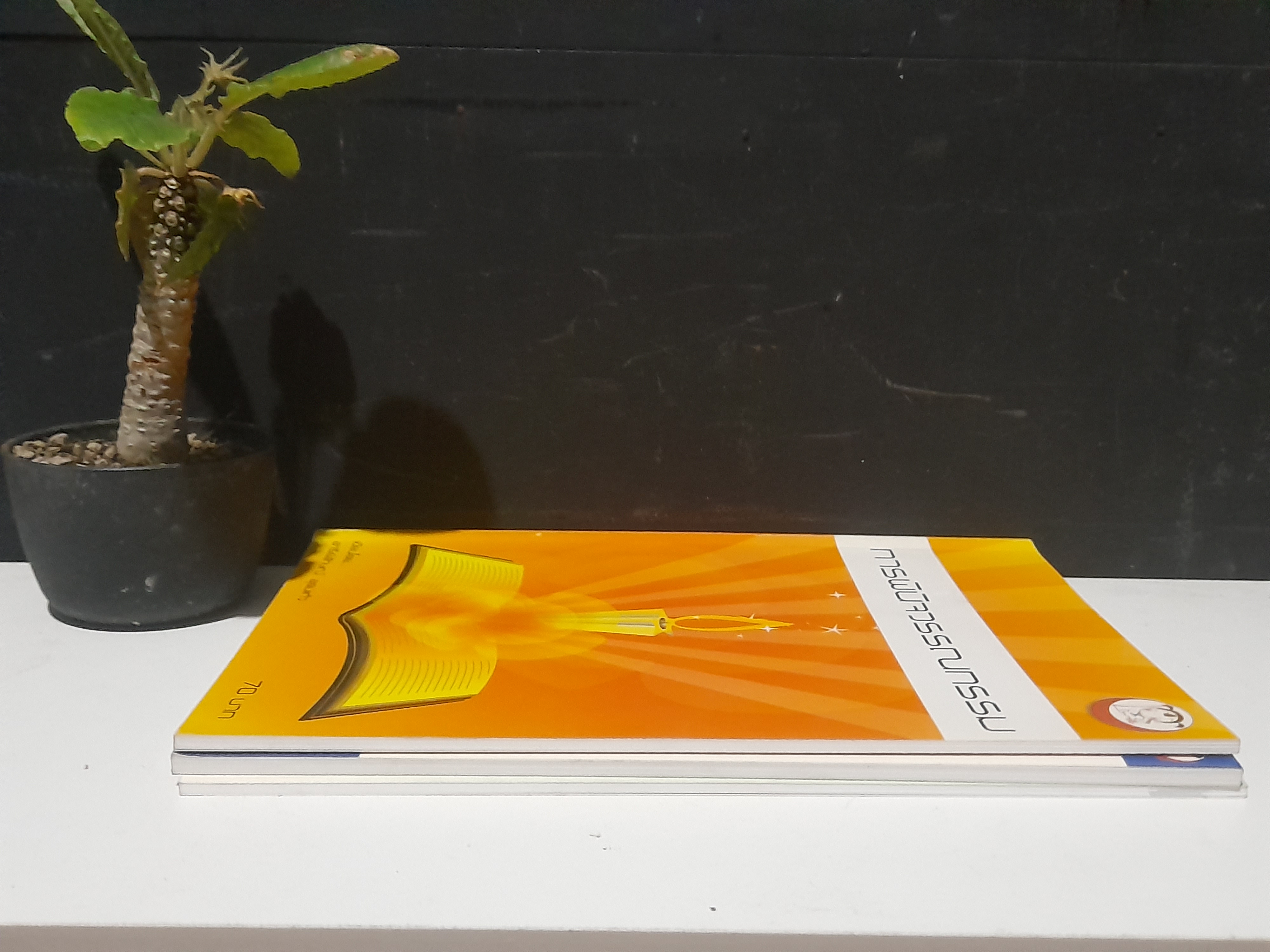 หนังสือความรู้ภาษาไทย โดย อารีย์ลักษณ์ อุดมแก้ว หนังสือมือหนึ่ง มีหลายชุดครับผม