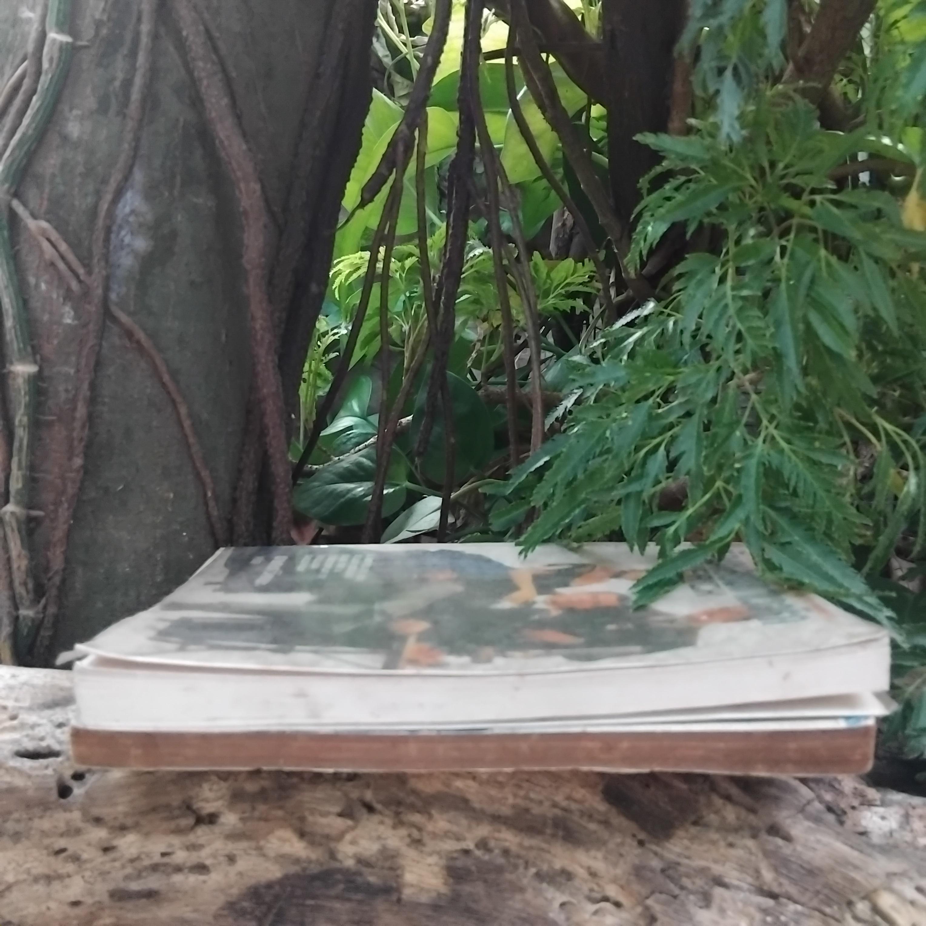 นิยายแปล ที่เคยสร้างเป็นภาพยนตร์มาแล้วในอดีต มนุษย์สองร้อยปี และ หักเหลี่ยมมาเวอริก หนังสือสะสมครับ