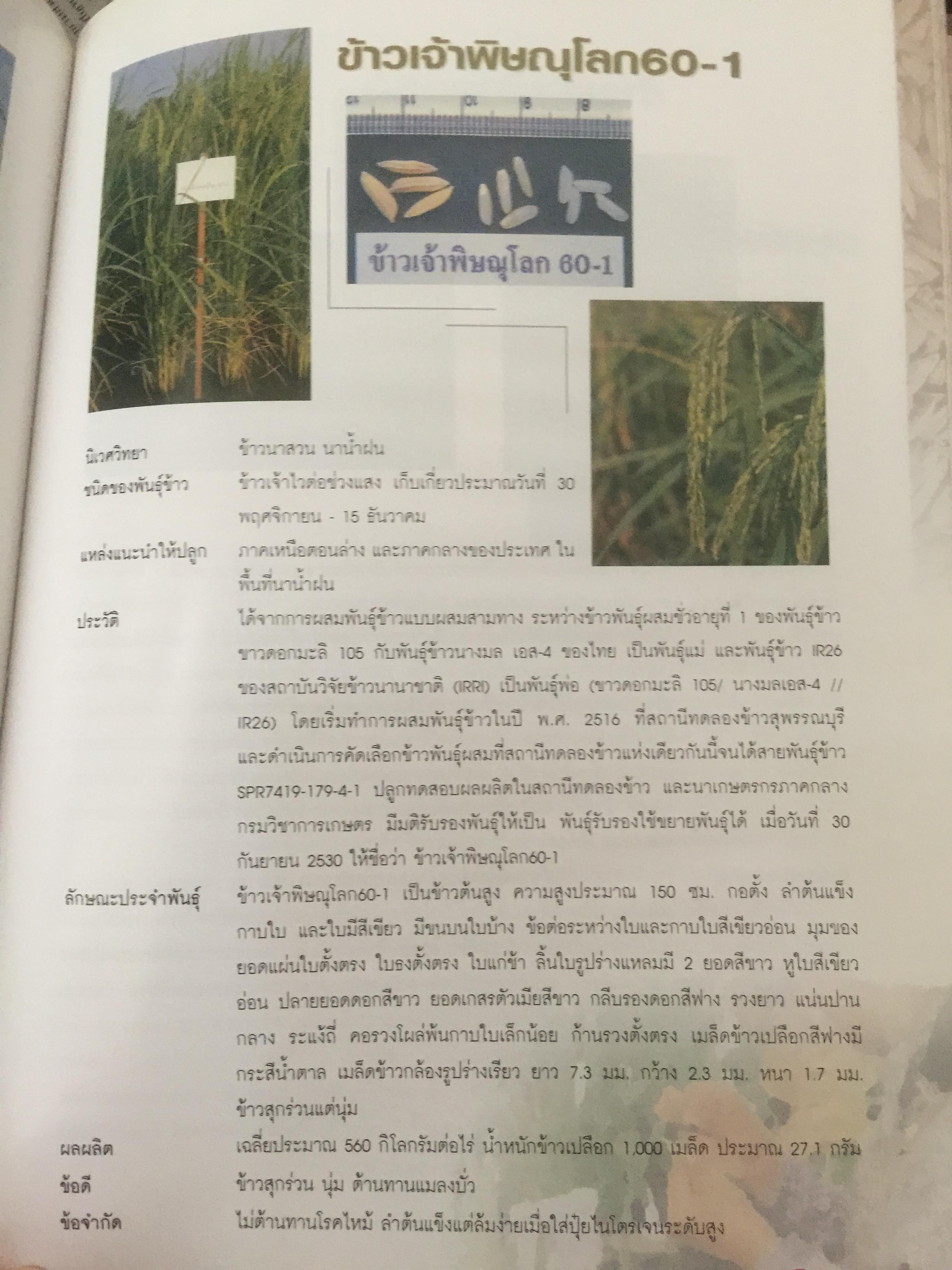 วิวัฒนาการพันธุ์ข้าวไทย. สถาบันวิจัยข้าวไทย กรมวิชาการเกษตร 0 กก.
