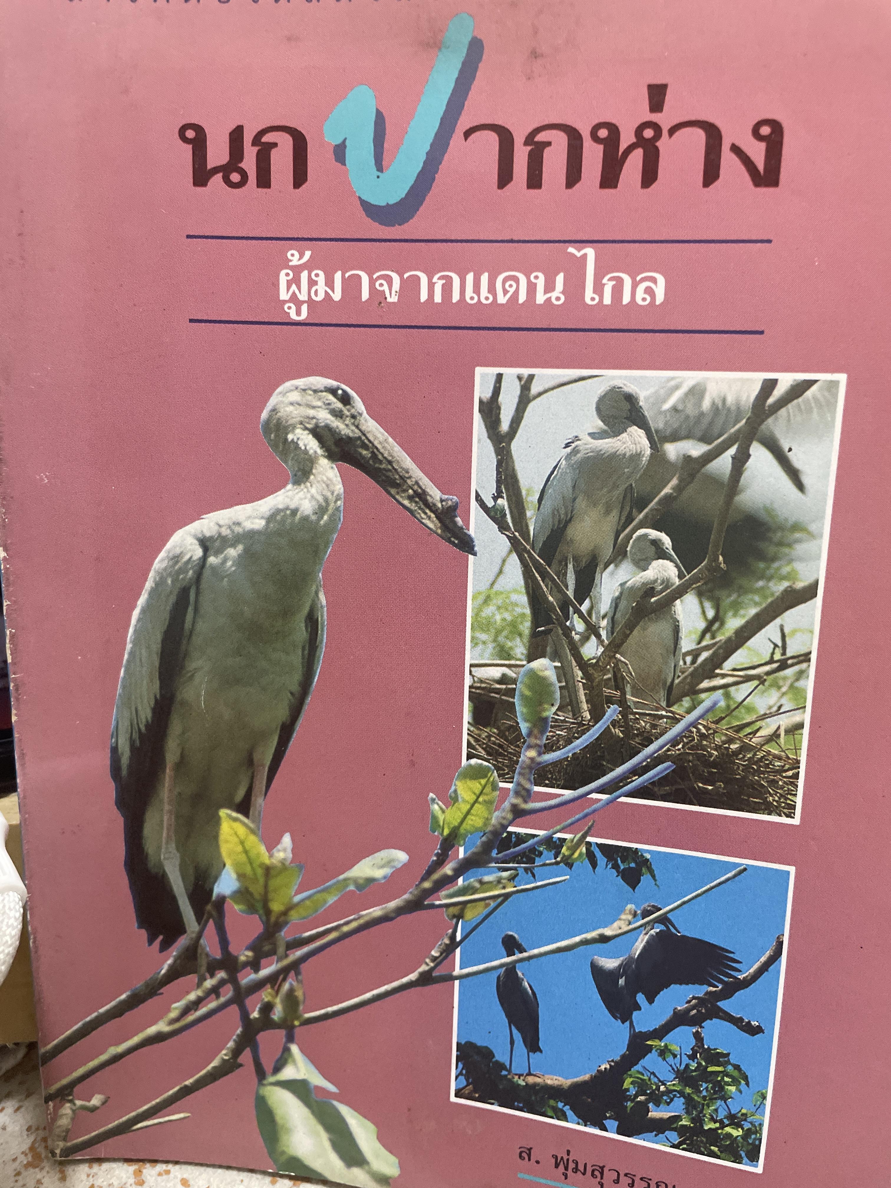 นกปากห่าง ผู้มาจากแดนไกล 150 กรัม