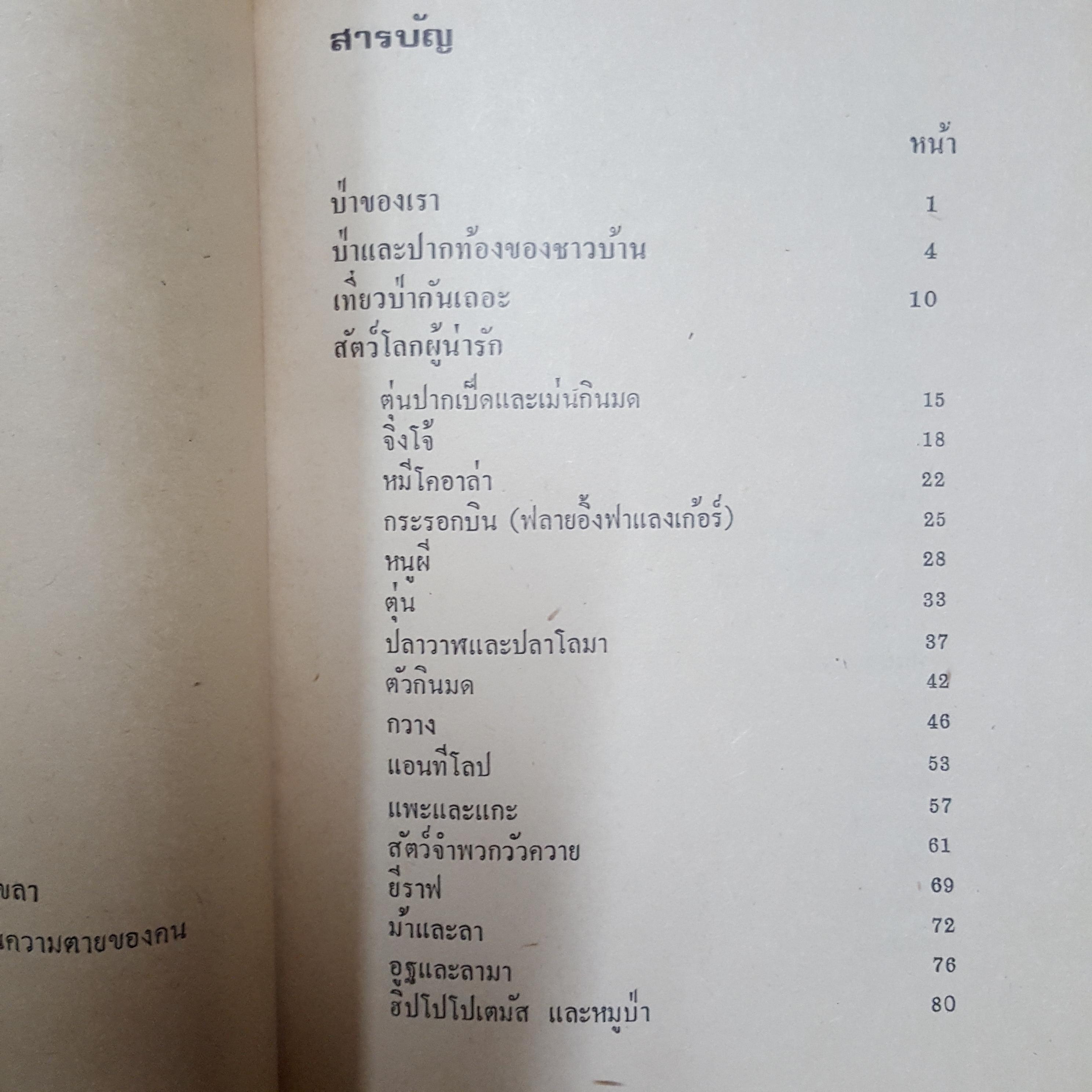 สัตว์สวยป่างาม