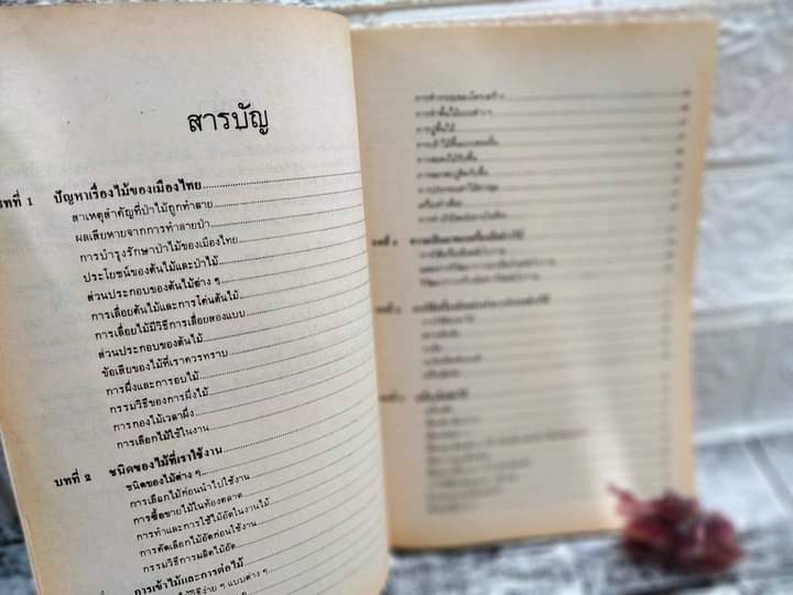 เทคโนโลยีในงานไม้ โดย เฉลียว โพธิพิรุฬห์