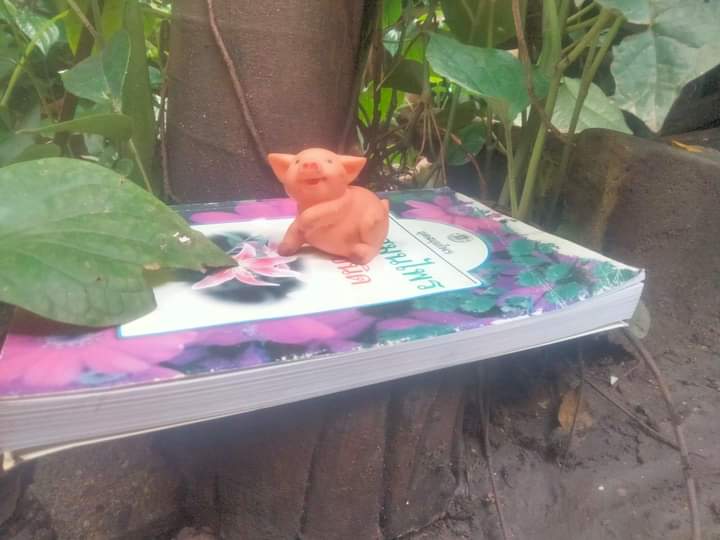 ตำราดอกสมุนไพร 109 ชนิด สรรพคุณเยี่ยม