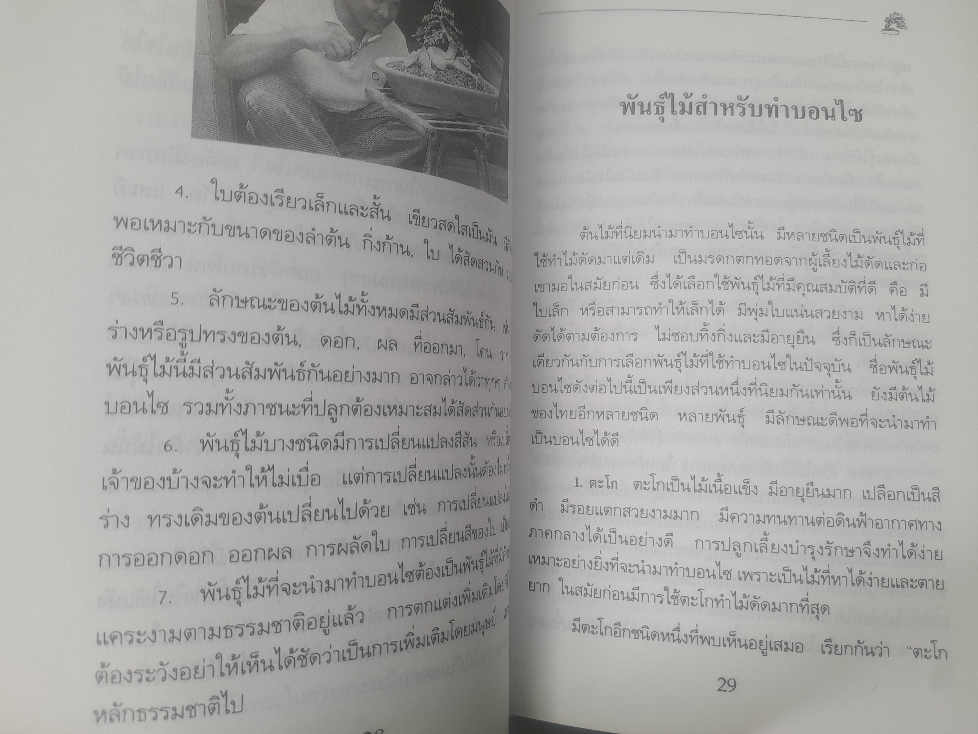 คู่มือการปลูกเลี้ยงบอนไซ โดย สมาน ศรีปราโมช ครบทุกเรื่องเกี่ยวกับบอนไซ