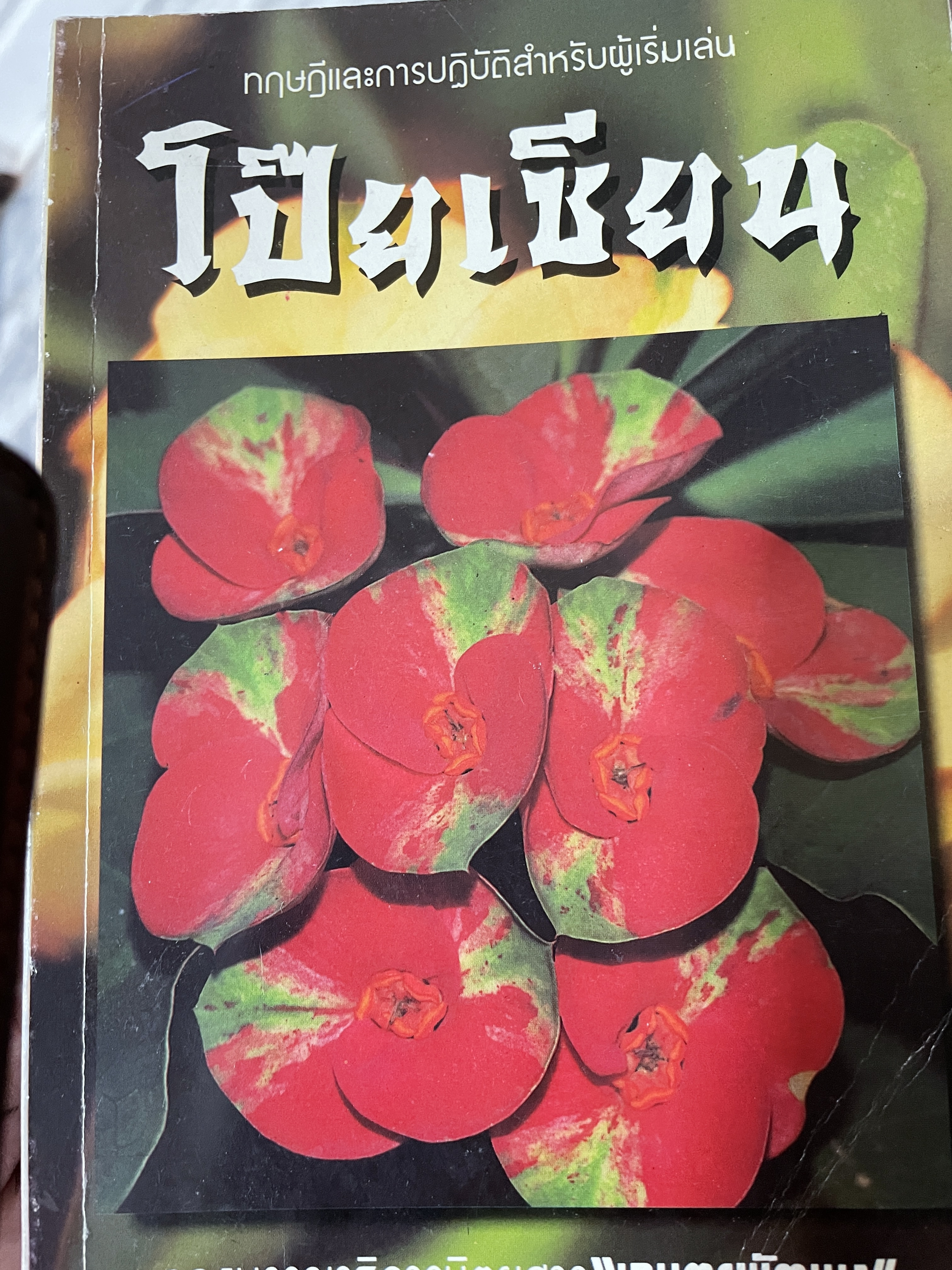 โป๊ยเซียน ทฤษฎีและการปฎิบัติสำหรับผู้เริ่มเล่นโป๊ยเซียน จัดทำโดยกองบรรณาธิการนิตรสารเกษตรพัฒนา 0 กก.