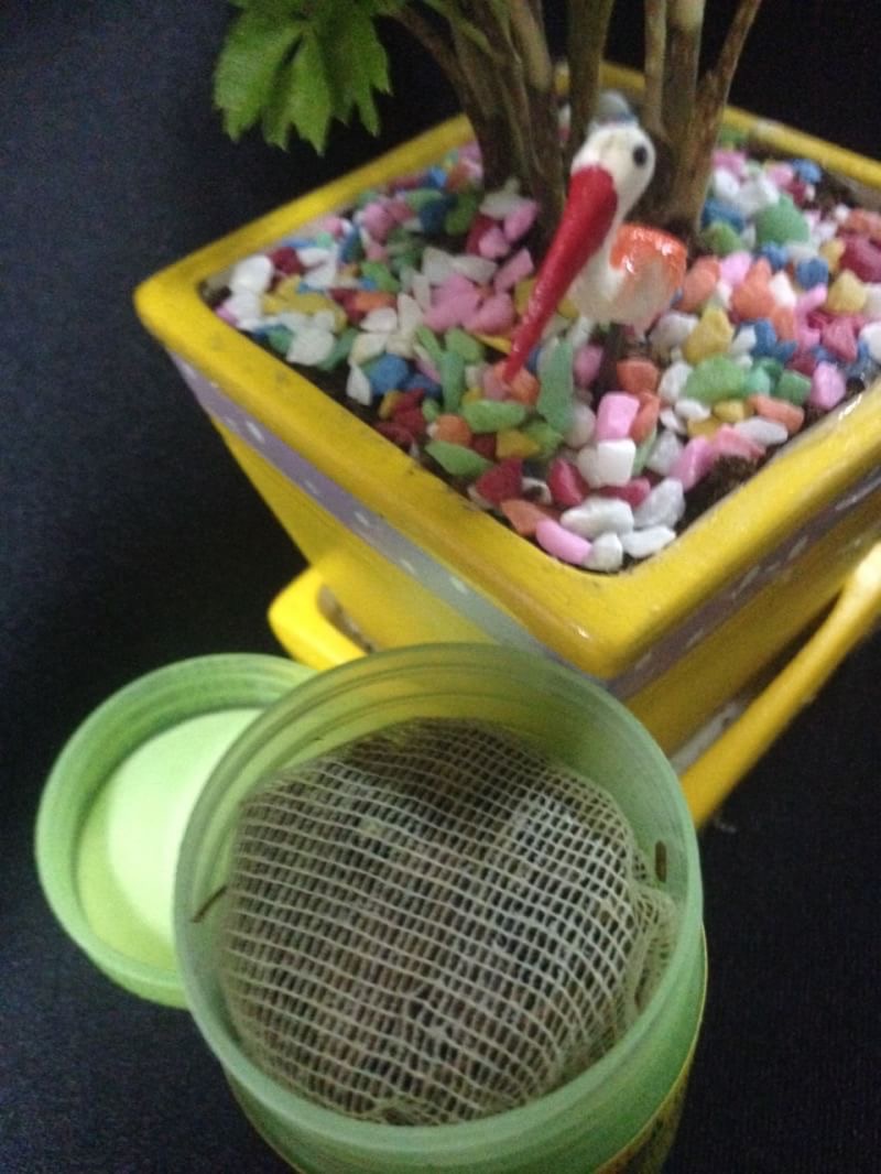 ยาดมสมุนไพร หงส์ไทย