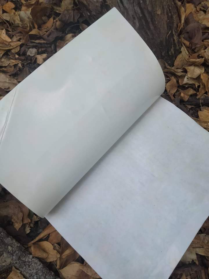 กระสือสาว ฉบับนิยายภาพ อันโด่งดัง หนังสือหายาก