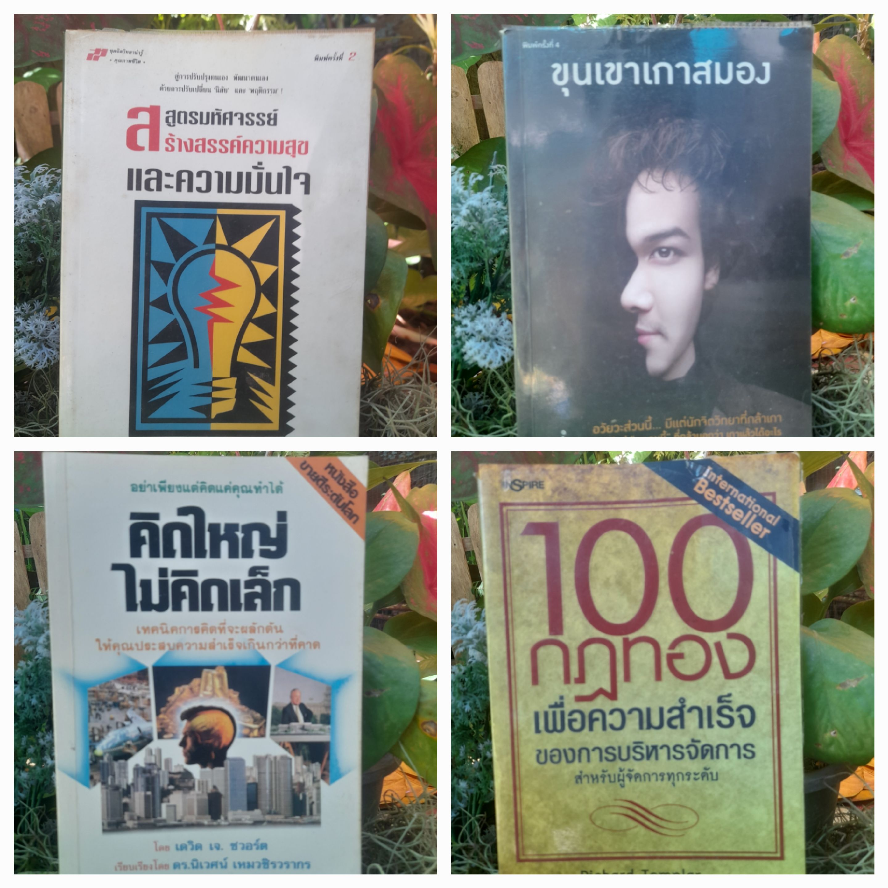 หนังสือแนวพัฒนาตนเอง บริหารธุรกิจ และการลงทุนครับผม เป็นหนังสือมือสองสภาพสะสมทุกเล่มครับ