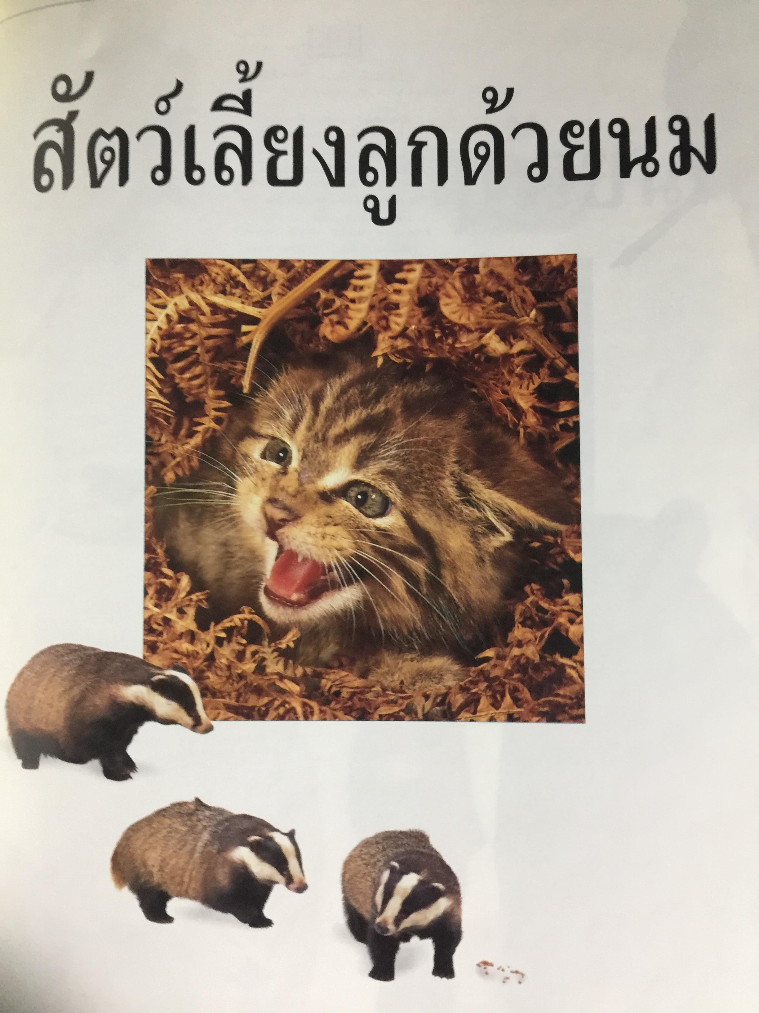 สัตว์เลี้ยงลูกด้วยนม. หนังสือเด็กรักลูก ห้องสมุดแสนสนุก ค้นพบโลกแห่งความมหัศจรรย์ด้วยภาพตื่นตาเร้าใจพร้อมเรื่องน่ารู้ชวนติดตาม 0 กก.
