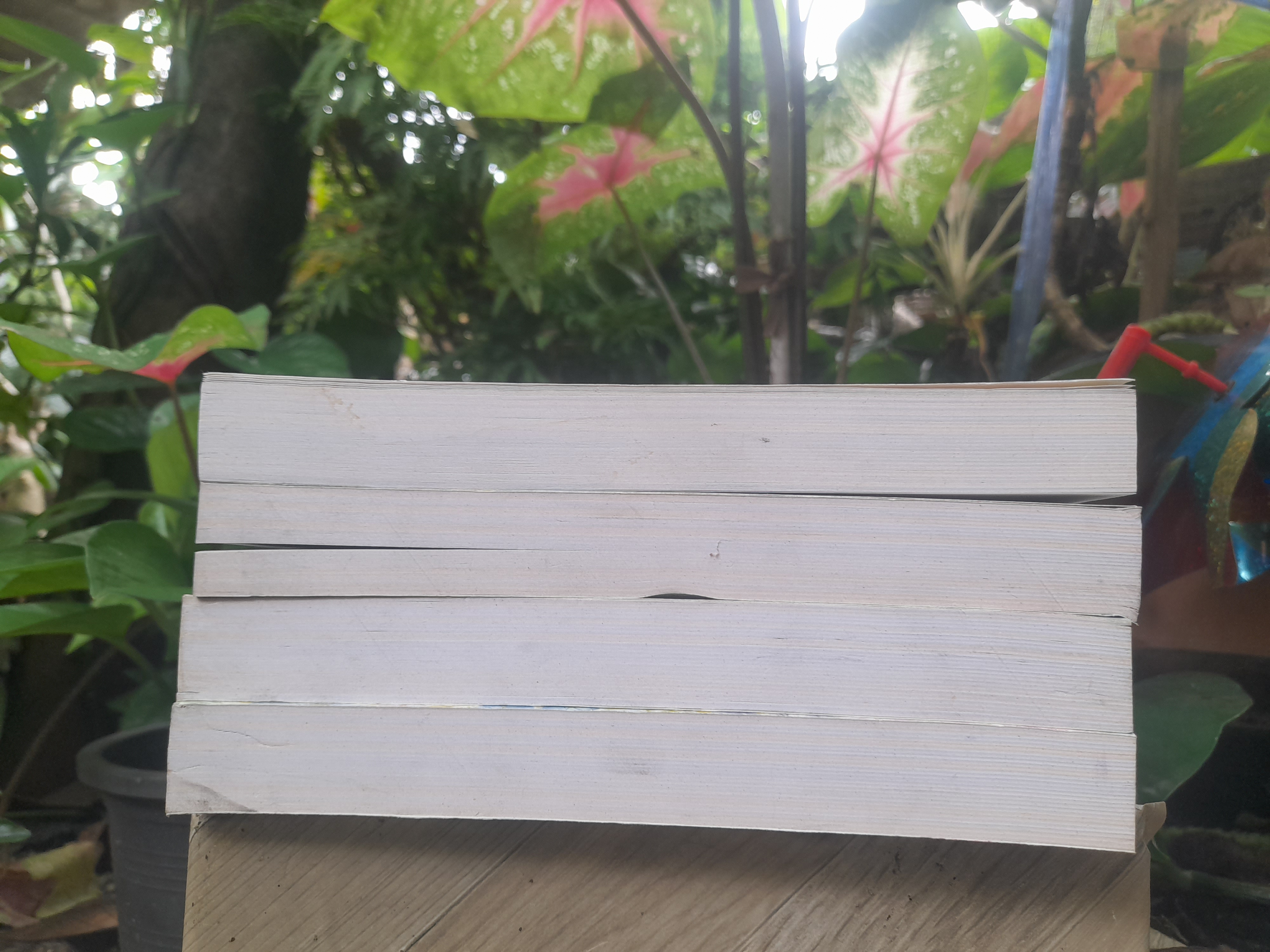 แม่ม่าย โดย จุลลดา ภักดีภูมินทร์ หนังสือมือหนึ่ง ปกอ่อน ไม่มีตำหนิ