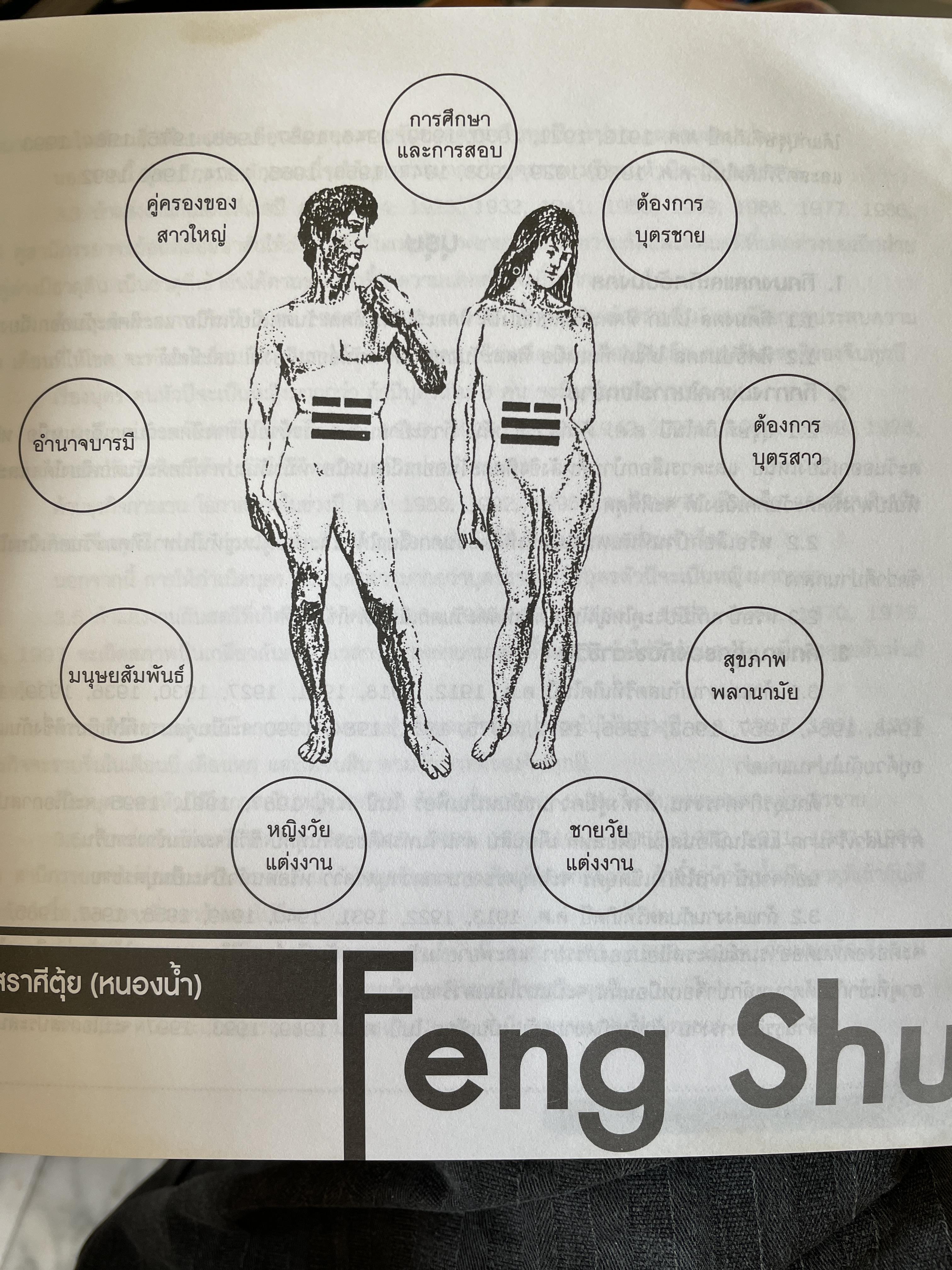 ฮวงจุ้ย ฉบับสมบูรณ์ ศาสตร์แห่งความสำเร็จ การออกแบบฮวงจุ้ยบ้าน เพื่อความสำเร็จในชีวิต CHINESE GEOMANCY. พลิกโชคชะตาให้ดีขึ้นจากคู่มือที่สามารถทำได้ด้วยตนเอง ผู้เขียน หลี่เหยินซุยและคณะ 1,800 กรัม