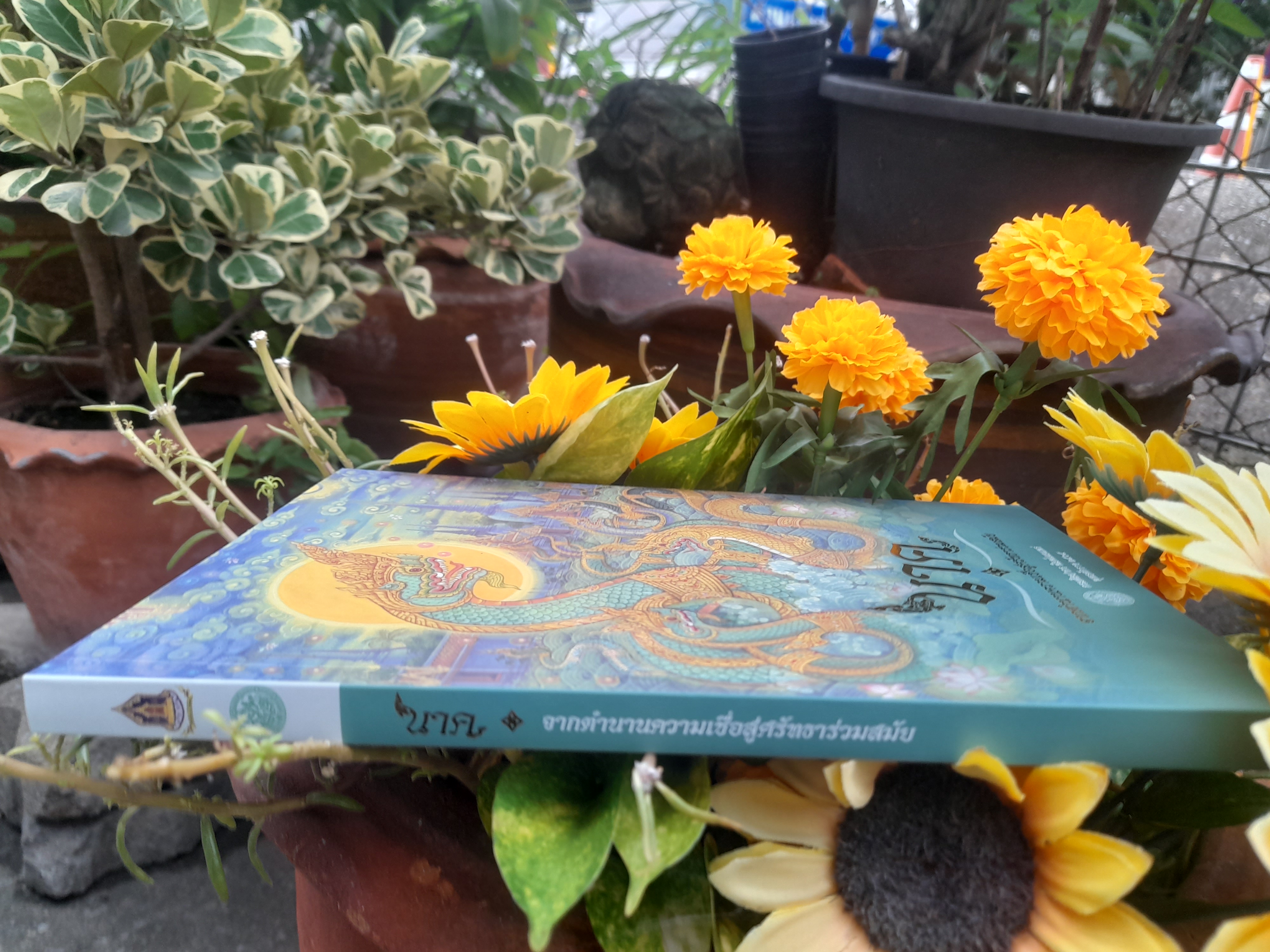 นาค : จากตำนานความเชื่อสู่ศรัทธาร่วมสมัย หนังสือที่บอกบทบาทของพญานาคในทุกมิติ หนังสือจากกรมศิลปากร