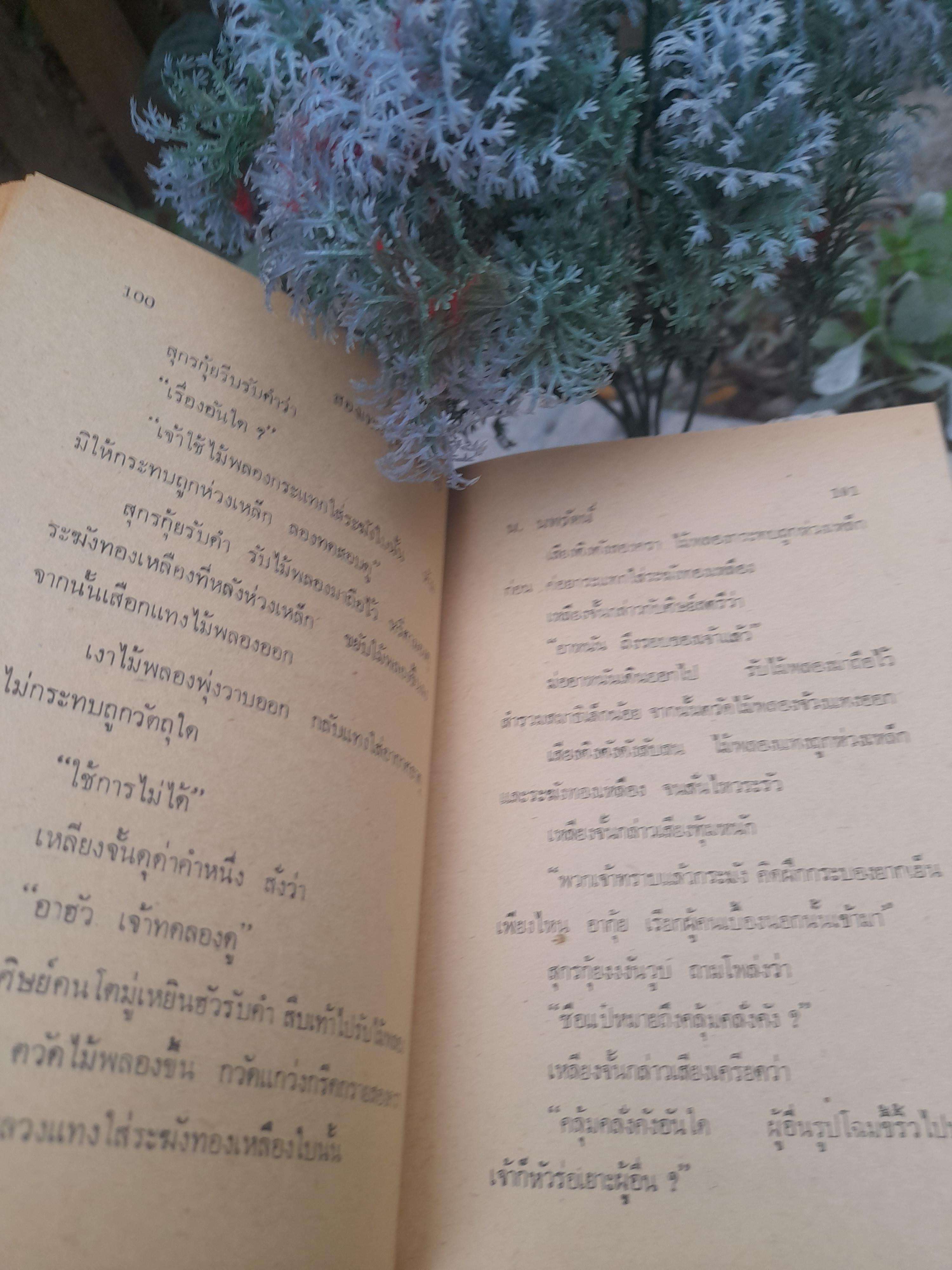 สองเทพบุตรโลกันตร์ จำนวน 2 เล่มจบ โดย น.นพรัตน์