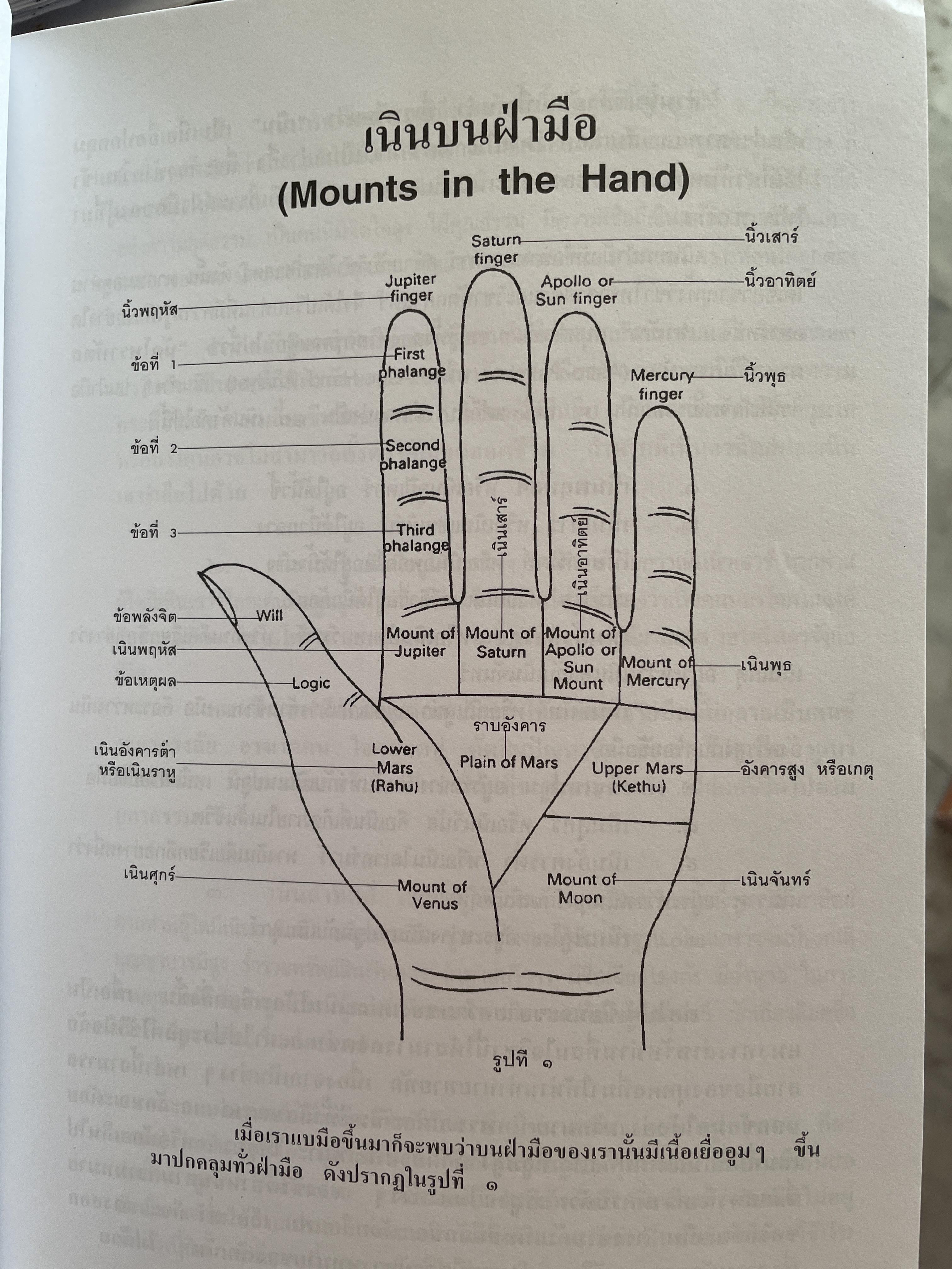 ลายมือ ลายแทงชีวิต. The Science of Hand Analysis พร้อมตัวอย่างลายมือกว่า 1,000 ภาพ ผู้เขียน ดร.สุรพล ธีรรัตนพันธ์ 3,500 กรัม
