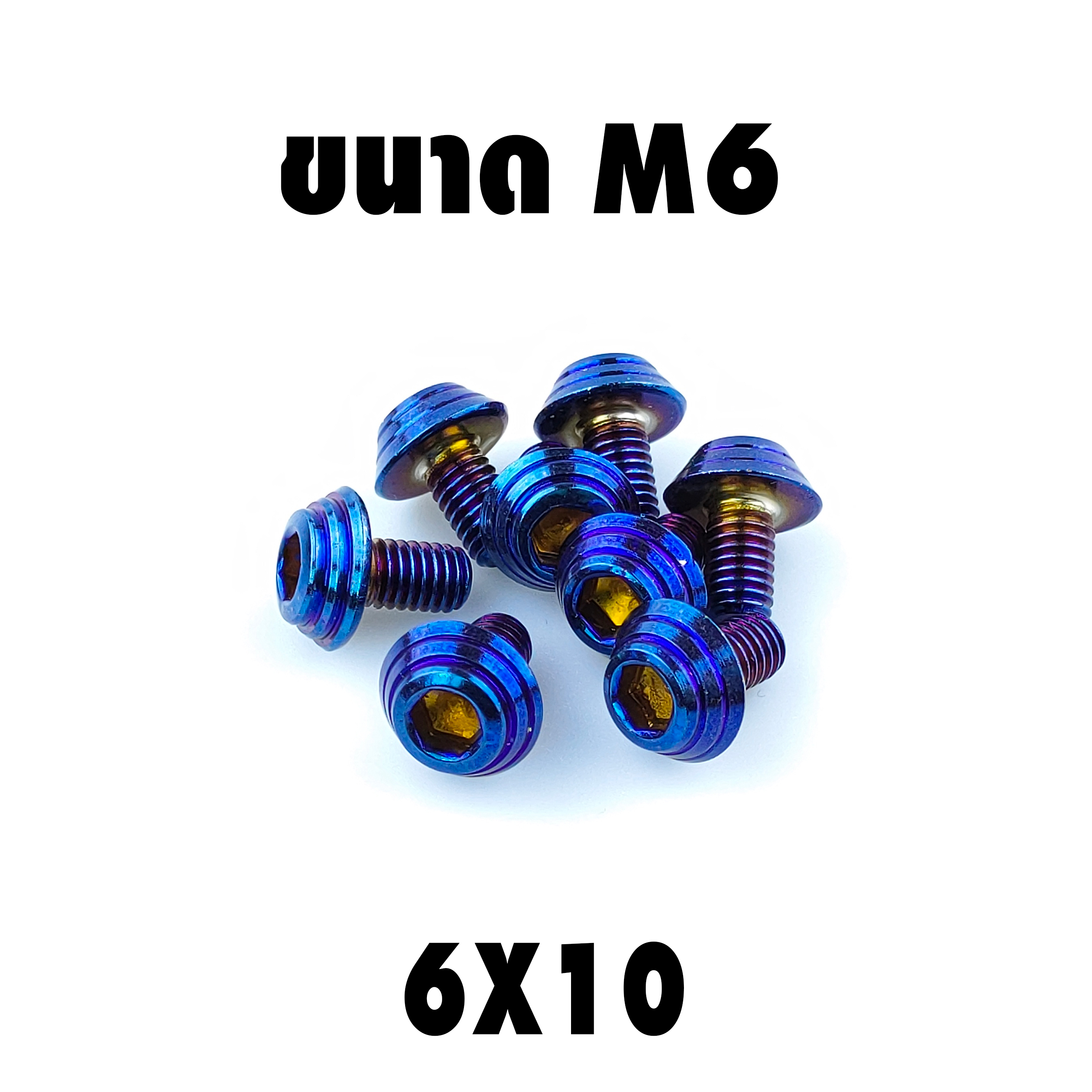น็อตแต่งก้นหอย (เบอร์10 M6X10)