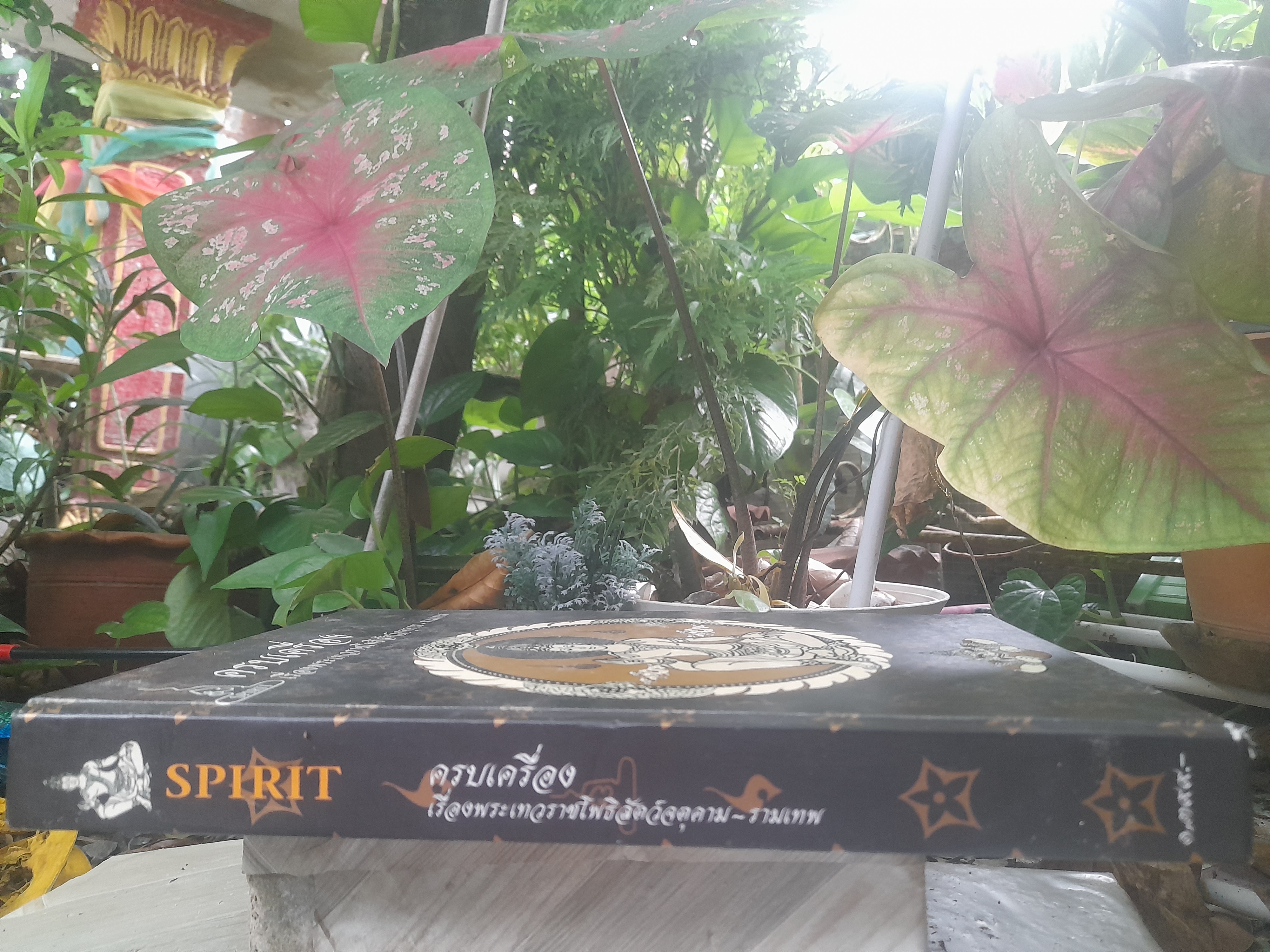 หนังสือ ครบเครื่องเรื่องพระเทวราชโพธิสัตว์จตุคาม-รามเทพ หนังสือหายาก น่าเก็บครับ