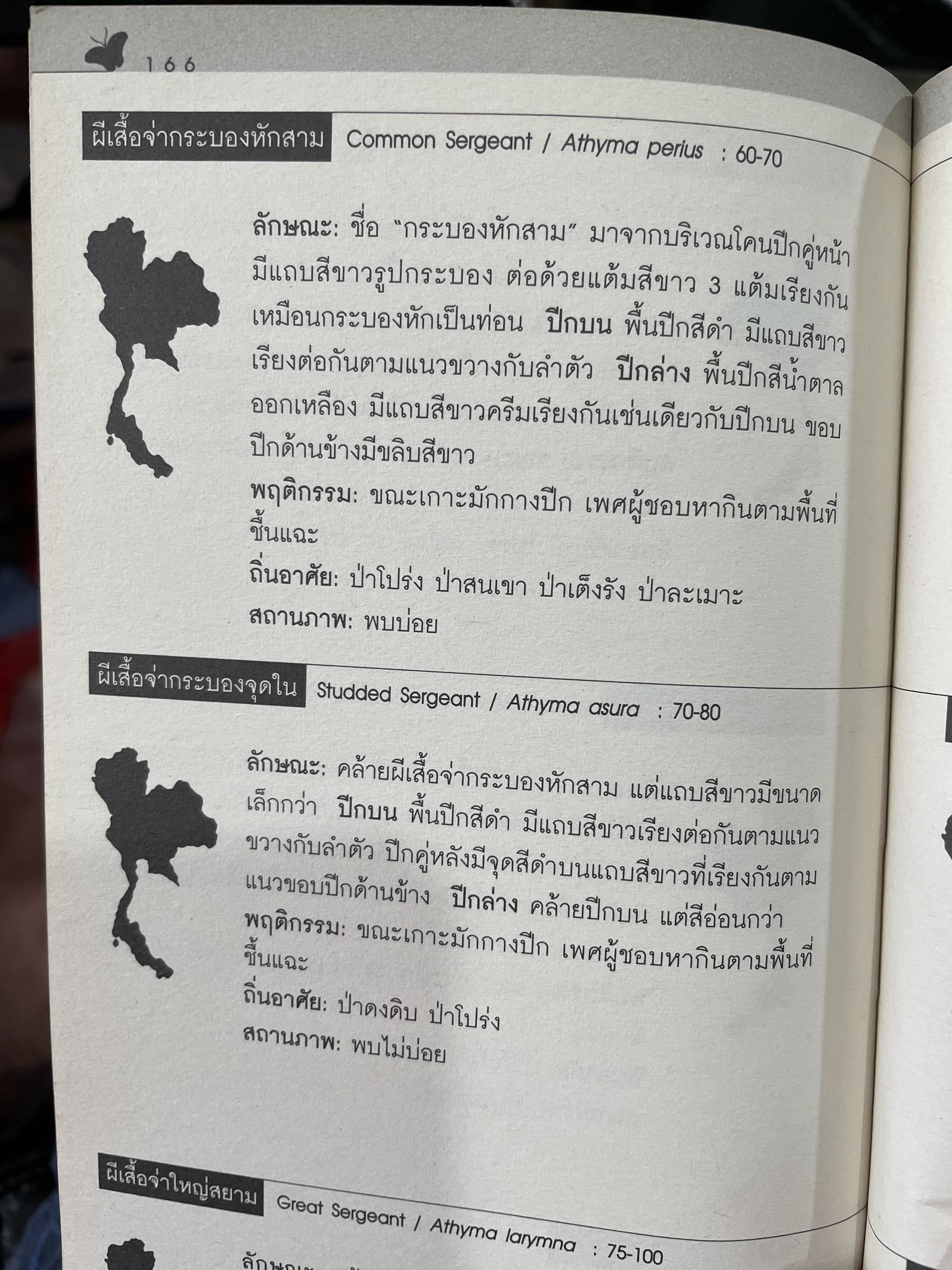คู่มือ ผีเสื้อ คู่มือฉบับพกพาเพื่อการดูผีเสื้อในธรรมชาติ ด้วยภาพถ่ายสวยงามและ ข้อมูล 284 ชนิด ผู้เขียน เกรียงไกร สุวรรณภักดี สำนักพิมพ์สารคดี 0 กก.