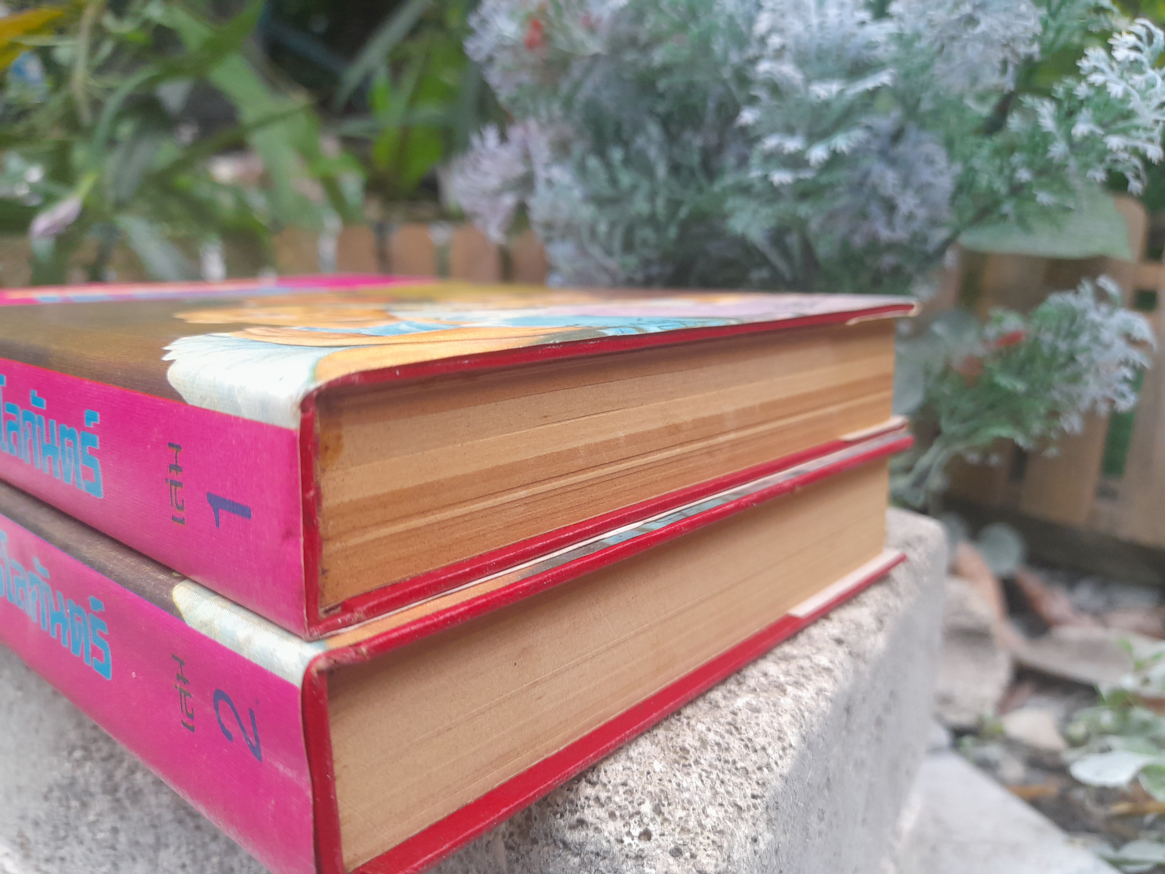 สองเทพบุตรโลกันตร์ จำนวน 2 เล่มจบ โดย น.นพรัตน์