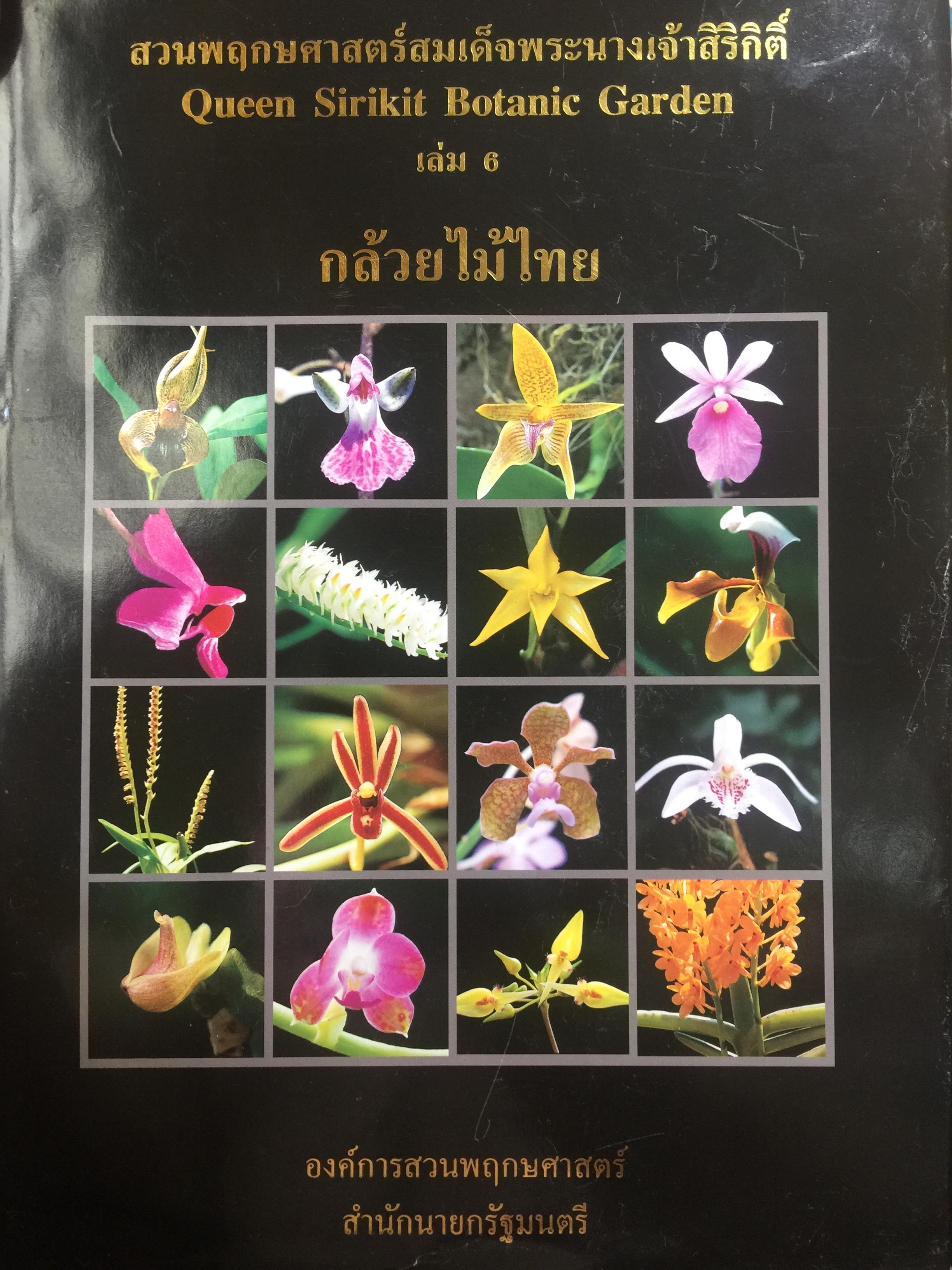 กล้วยไมไทย. สวนพฤกษศาสตร์สมเด็จพระนางเจ้าสิริกิติ์ จัดทำโดย องค์การสวนพฤกษศาสตร์ สำนักนายกรัฐมนตรี 0 กก.