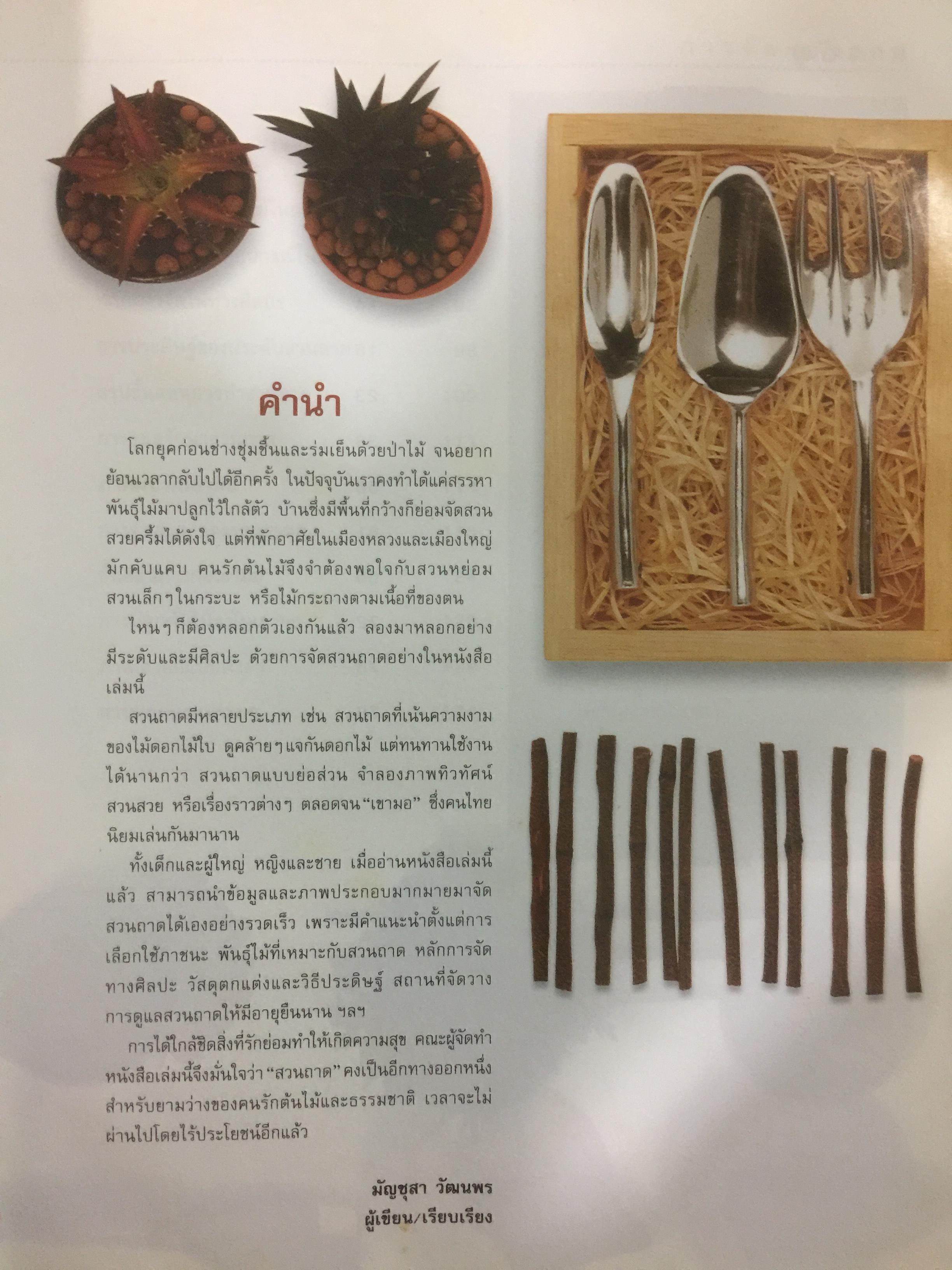 การจัดสวนถาด. เป็นพื้นฐานสำคัญของการจัดสวนขนาดใหญ่เหมาะเป็นอาชีพ งานอดิเรก และของขวัญ 4 กก.