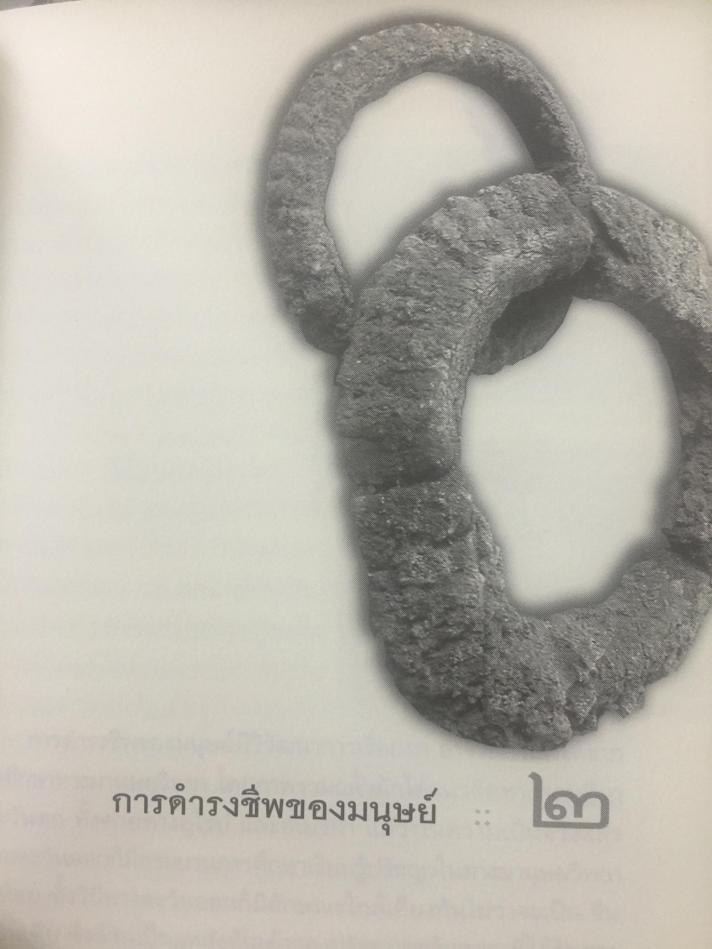 วัฒนธรรม เผ่าพันธุ์มนุษย์. ผู้เขียน บุญยงค์ เกศเทศ 0 กก.