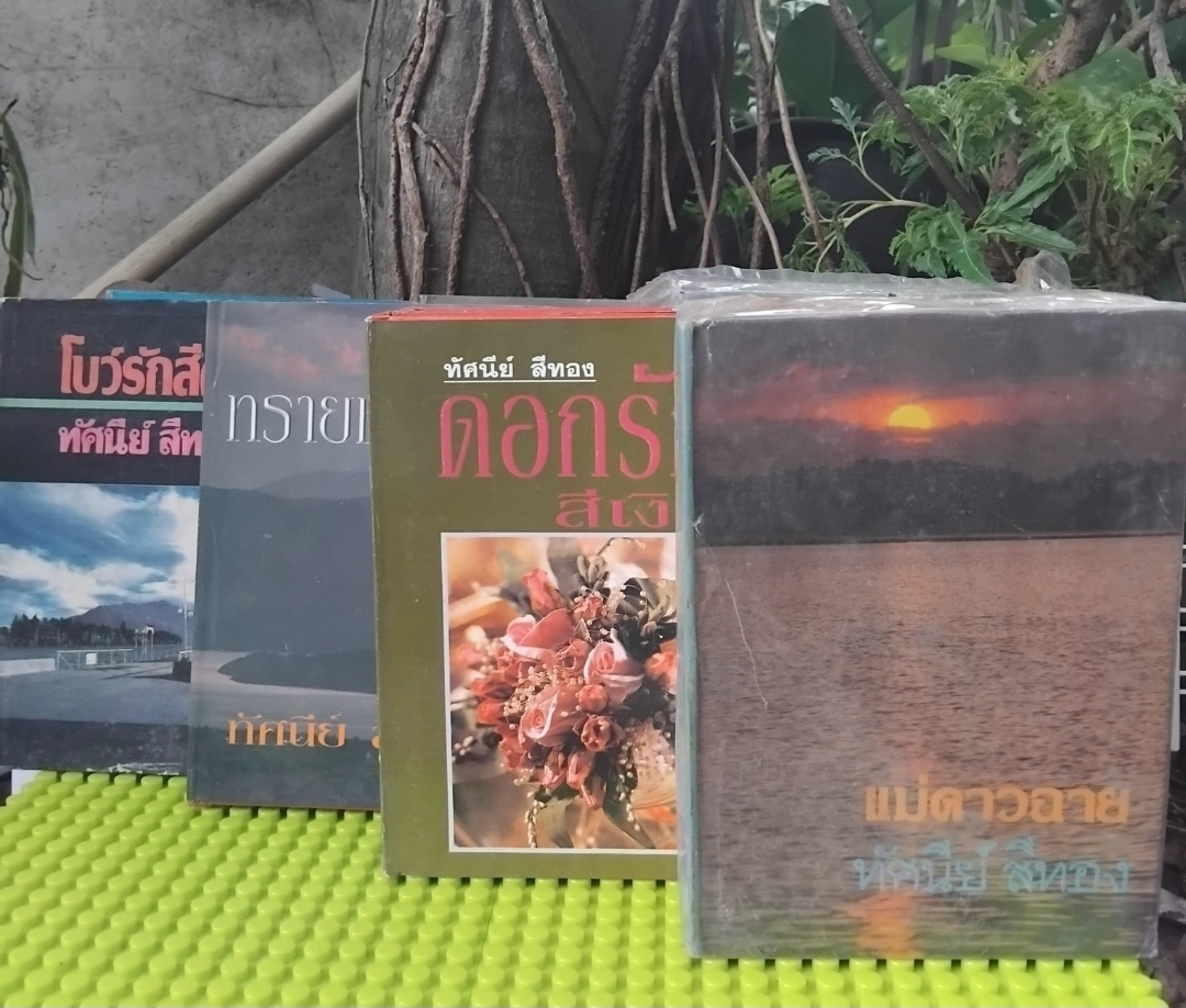 รวมผลงานของ ทัศนีย์ สีทอง นวนิยายไทย หนังสือมือ 1 ทุกเล่ม ไม่มีตำหนิ