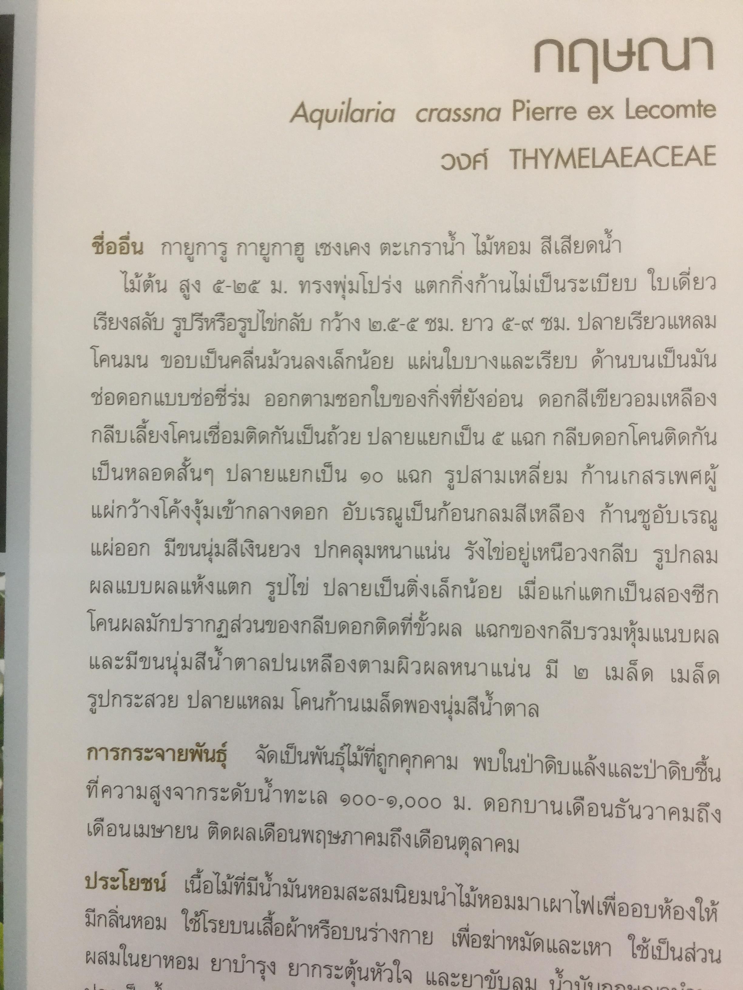 พรรณไม้พื้นเมืองไทย จากเขาใหญ่สู่ลำน้ำโขง ผู้จัดทำ กรมวิชาการเกษตร 0 กก.