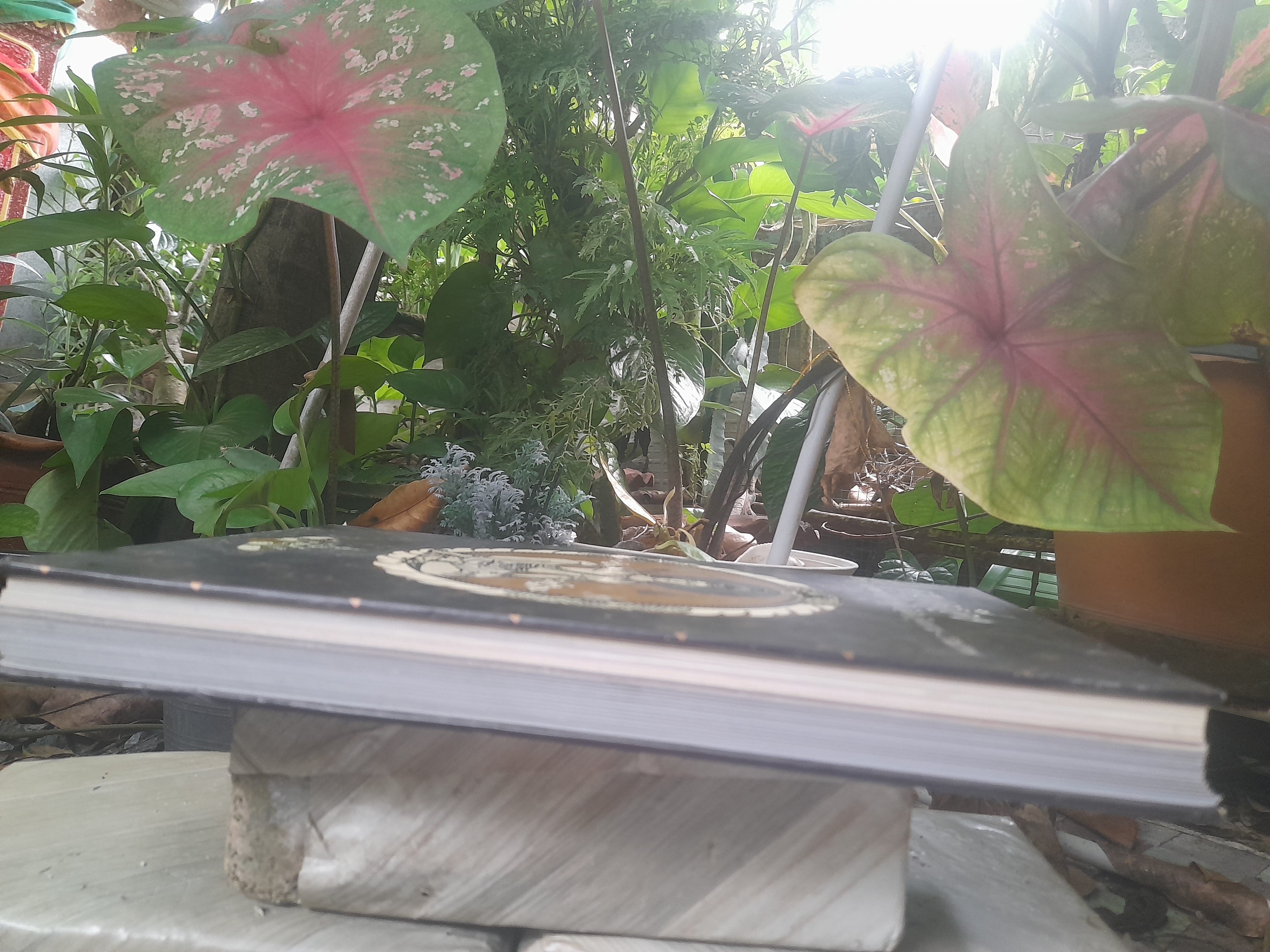 หนังสือ ครบเครื่องเรื่องพระเทวราชโพธิสัตว์จตุคาม-รามเทพ หนังสือหายาก น่าเก็บครับ