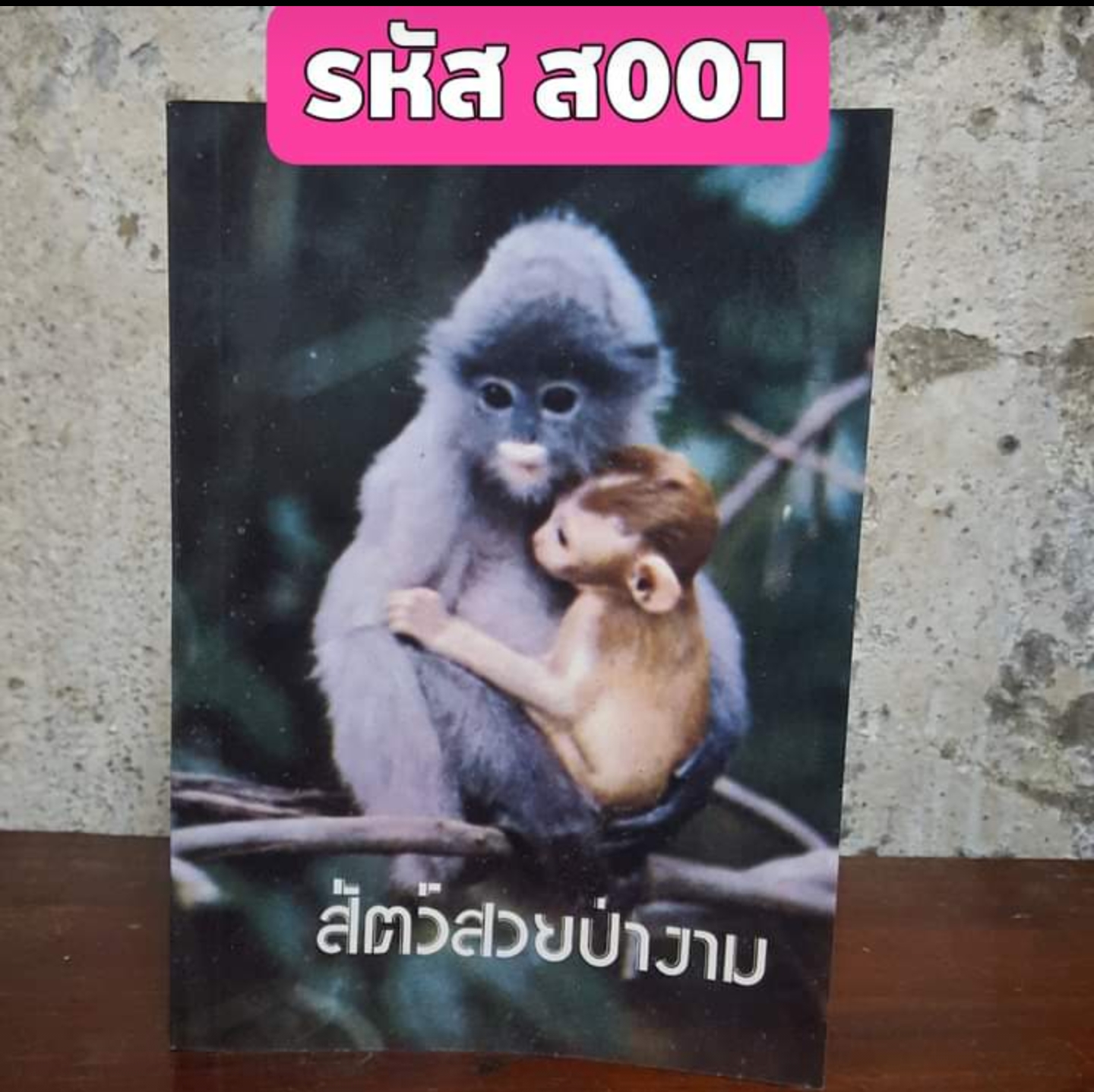 สัตว์สวยป่างาม