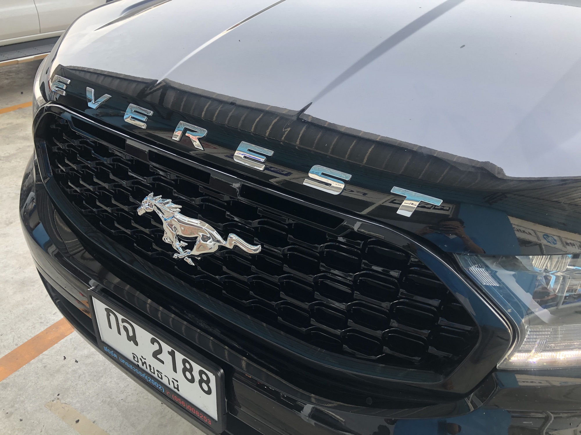 กระจังทรงมัสแตง Foro Everest 2.2/3.2 2015-2018 สีดำเงา