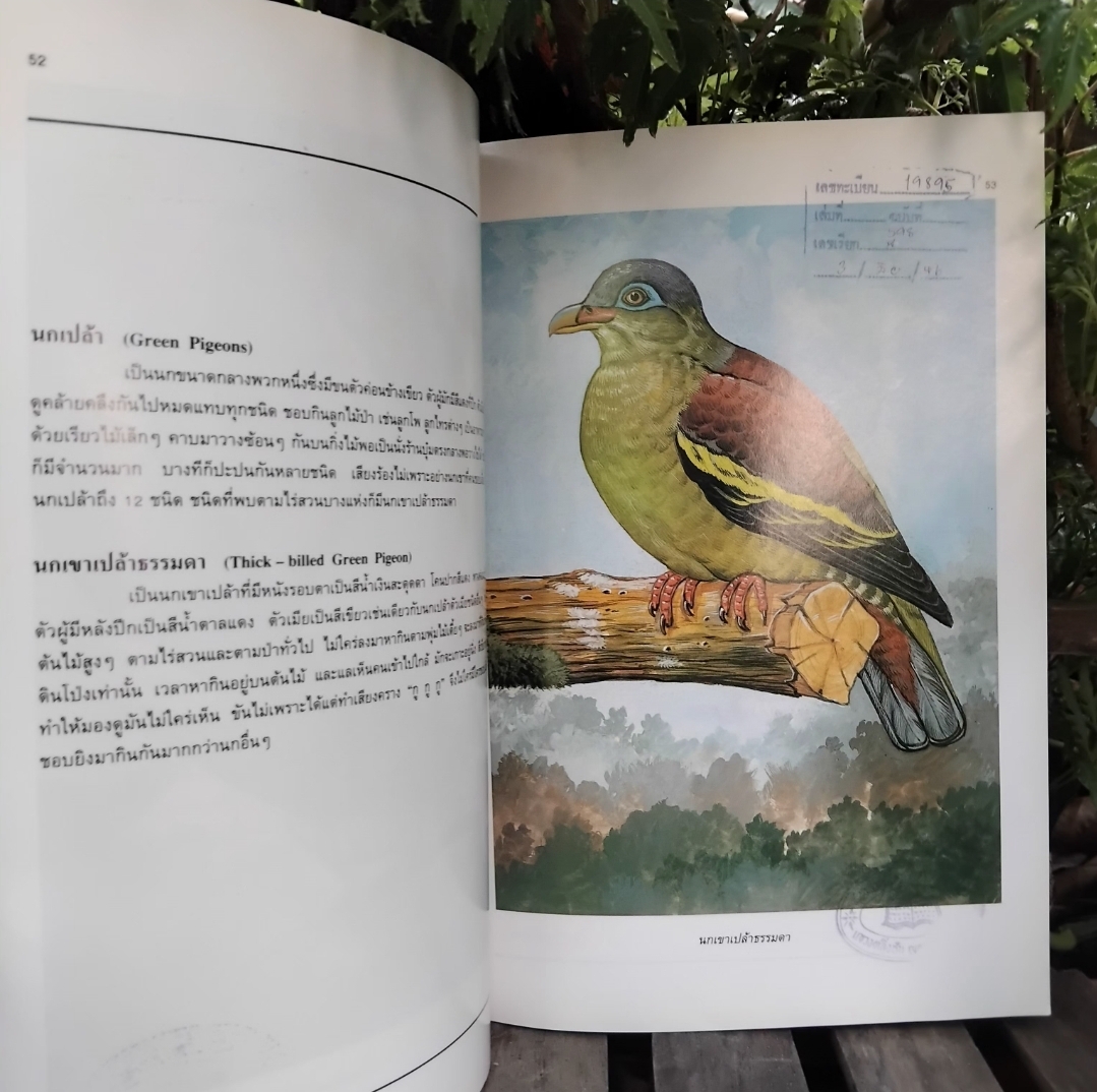 นกสามถิ่น ของ น.พ. บุญส่ง เลขะกุล สุดยอดหนังสือนกหายากอีกเล่ม มีตราปั๊มบางๆ 3 แผ่น สภาพแทบมือ1