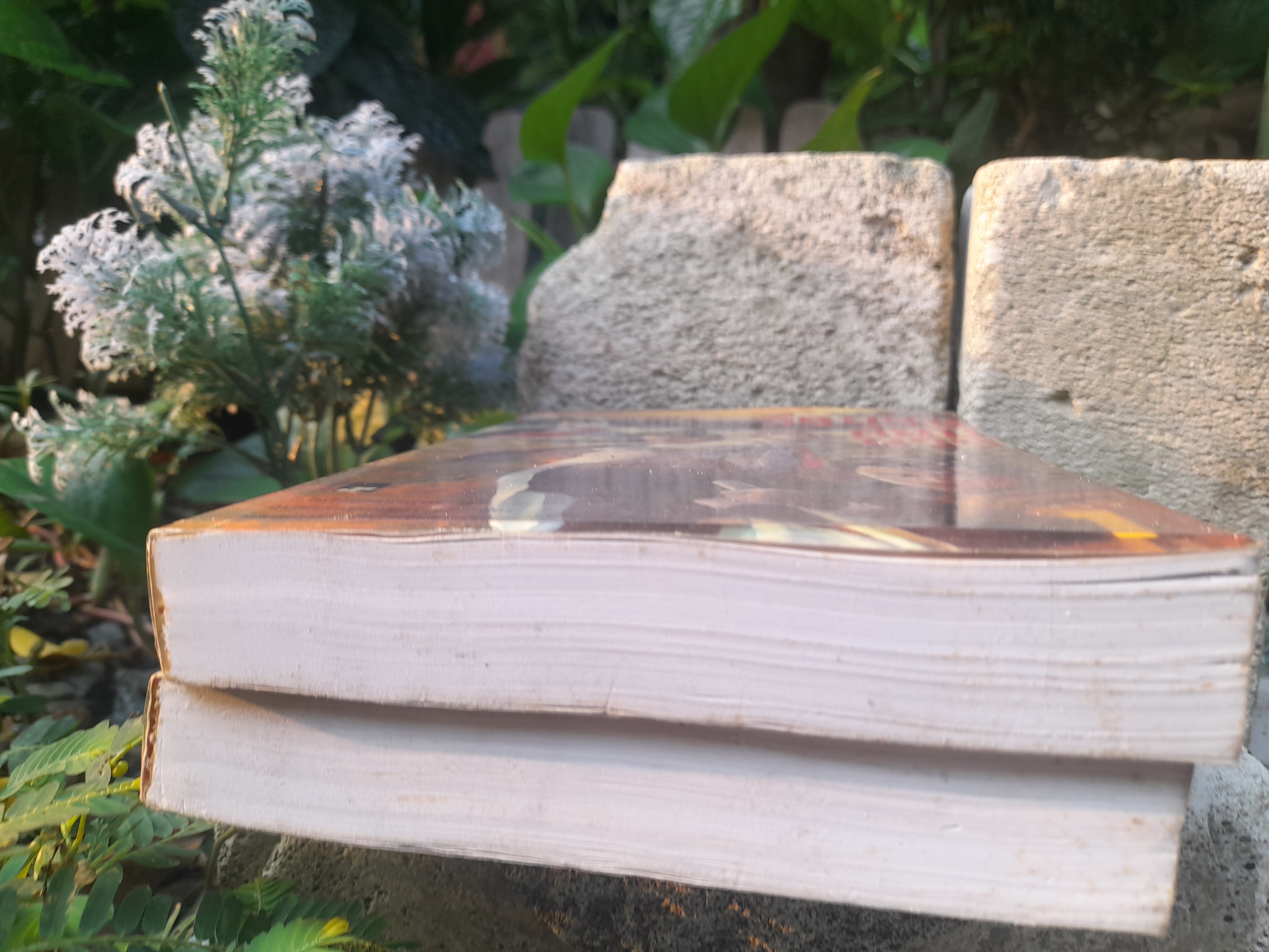 วีรบุรุษสยบมาร 2 เล่มจบ