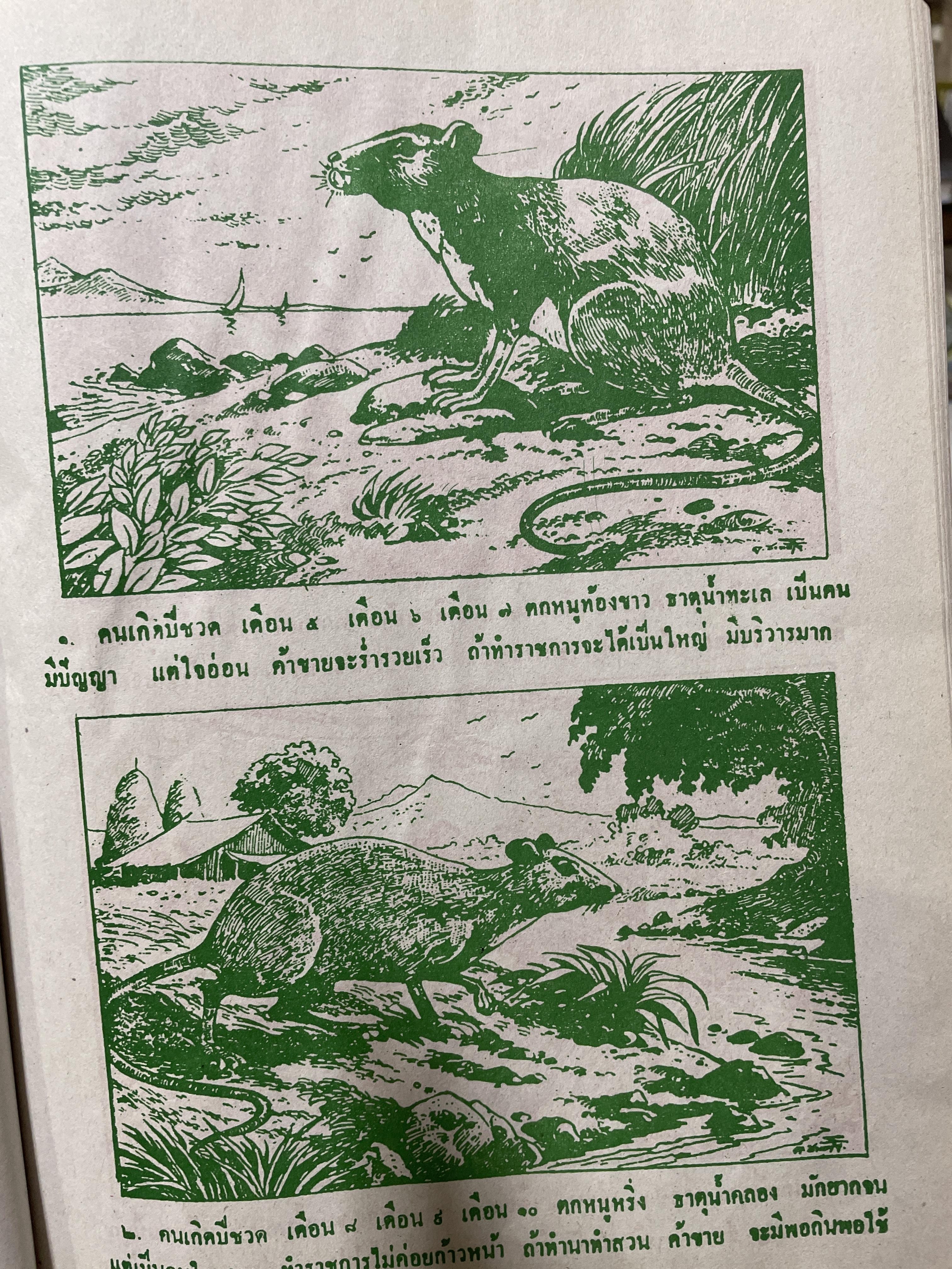 ตำรา พรหมชาติ ฉบับราษฏร์ ประจำบ้านดูด้วยตนเอง มีภาพประกอบ 500 ภาพ เศษ รวบรวมและเรียบเรียงโดย อาจารย์เทพย์ สาริกบุตรและคณะ สมบูรณ์ที่สุด สำนักงานลูกส.ธรรมภักดี 8 กก.