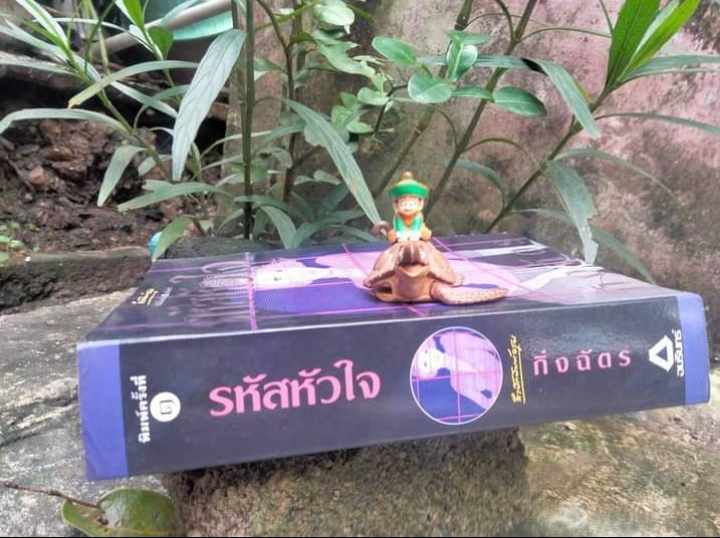 รหัสหัวใจ โดย กิ่งฉัตร