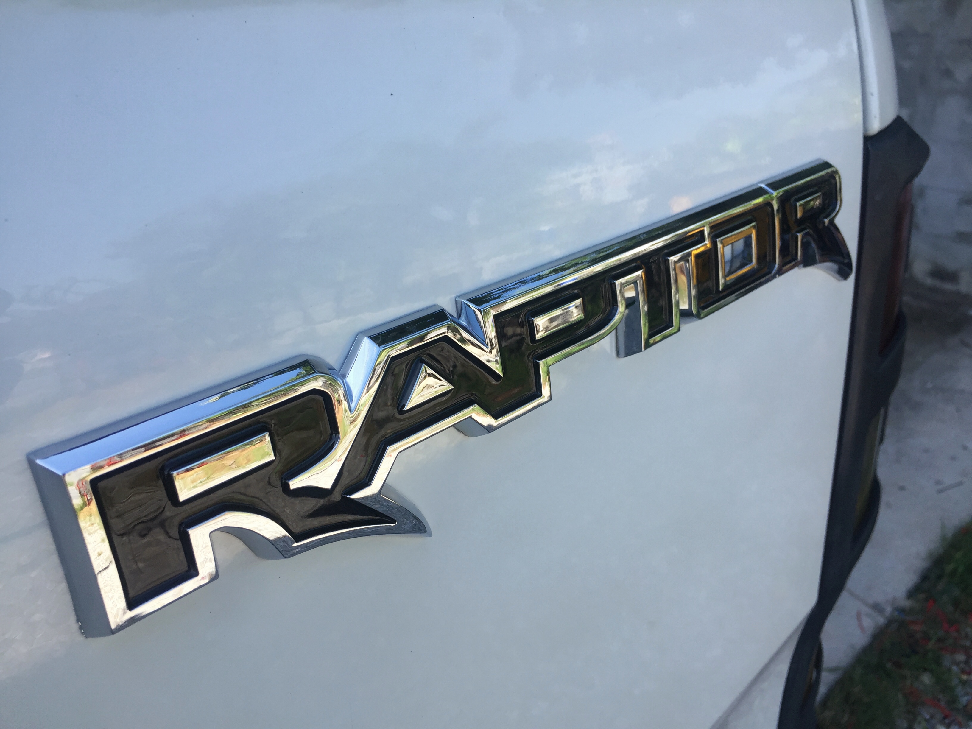 ตัวนูน Raptor