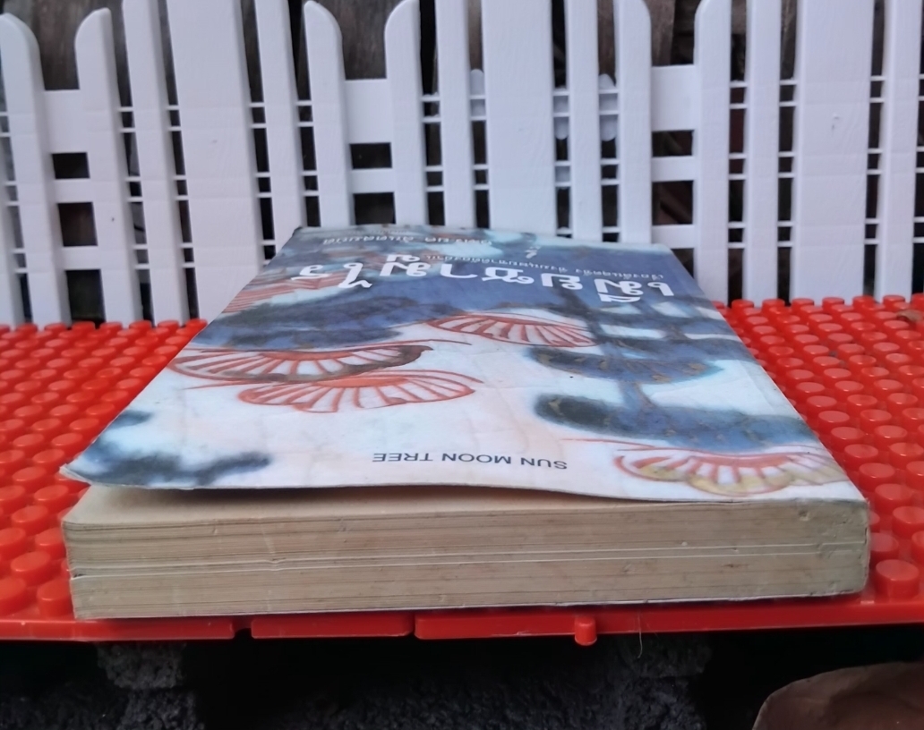 เมียซามูไร ของ อากิ ทานิโน แปลโดย ศ.ดร.ยศ สันตสมบัติ สะสม สภาพดี