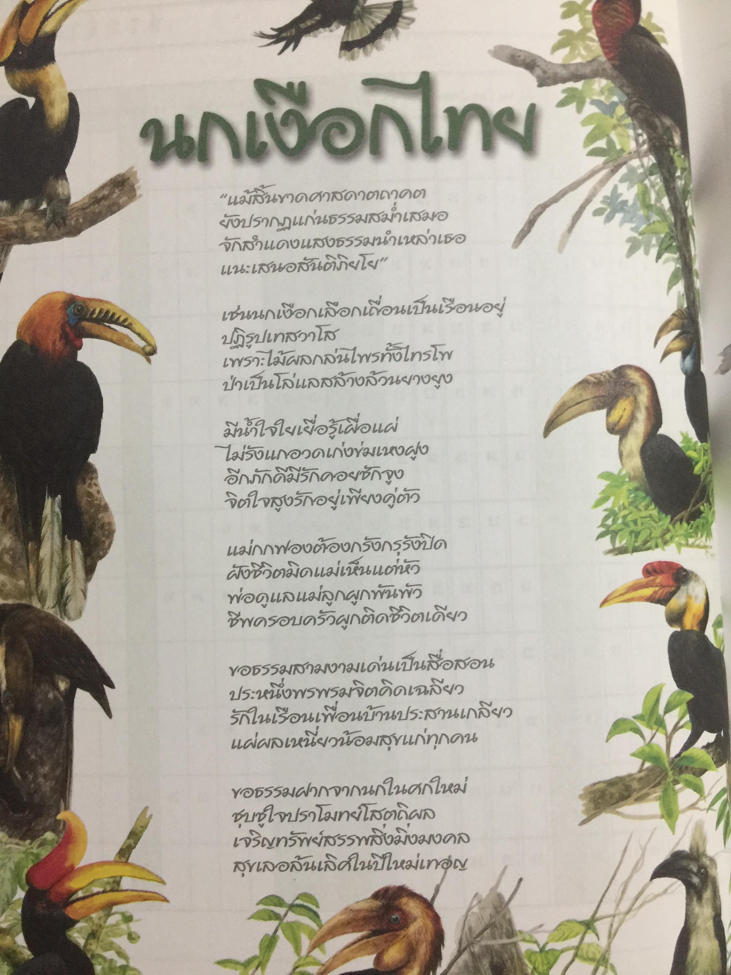 นกเงือกไทย. จากบันทึก 2546 ขององค์การค้าของคุรุสภา 1 กก.