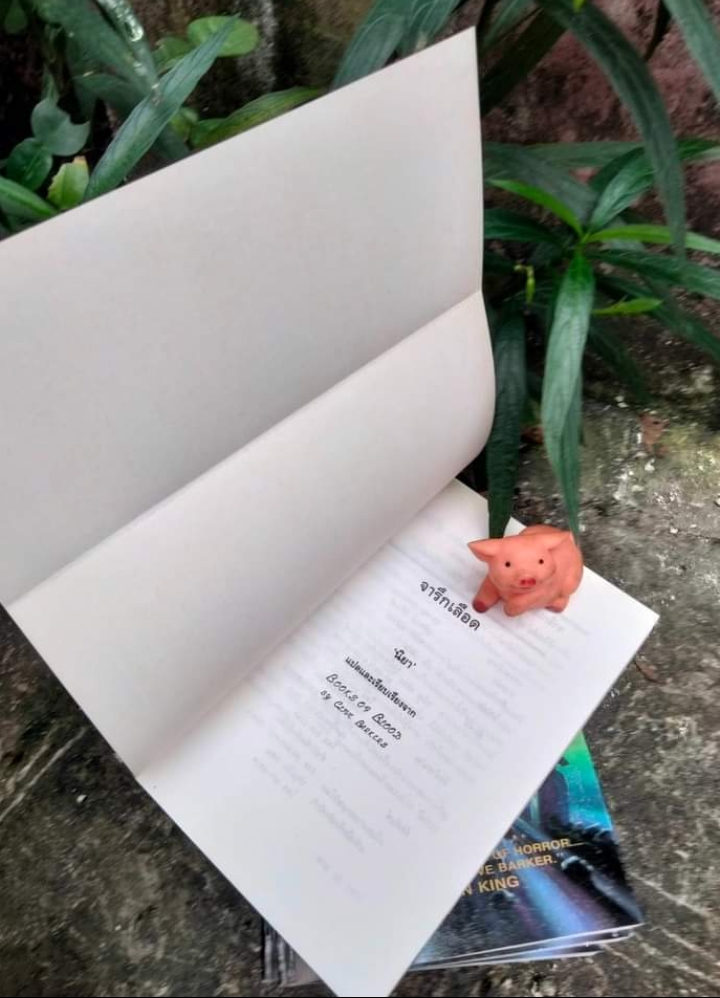 จารึกเลือด BOOKS OF BLOOD เรื่องสั้นสยองขวัญ 6 เรื่อง โดย ไคลฟว์ บาร์เคอร์