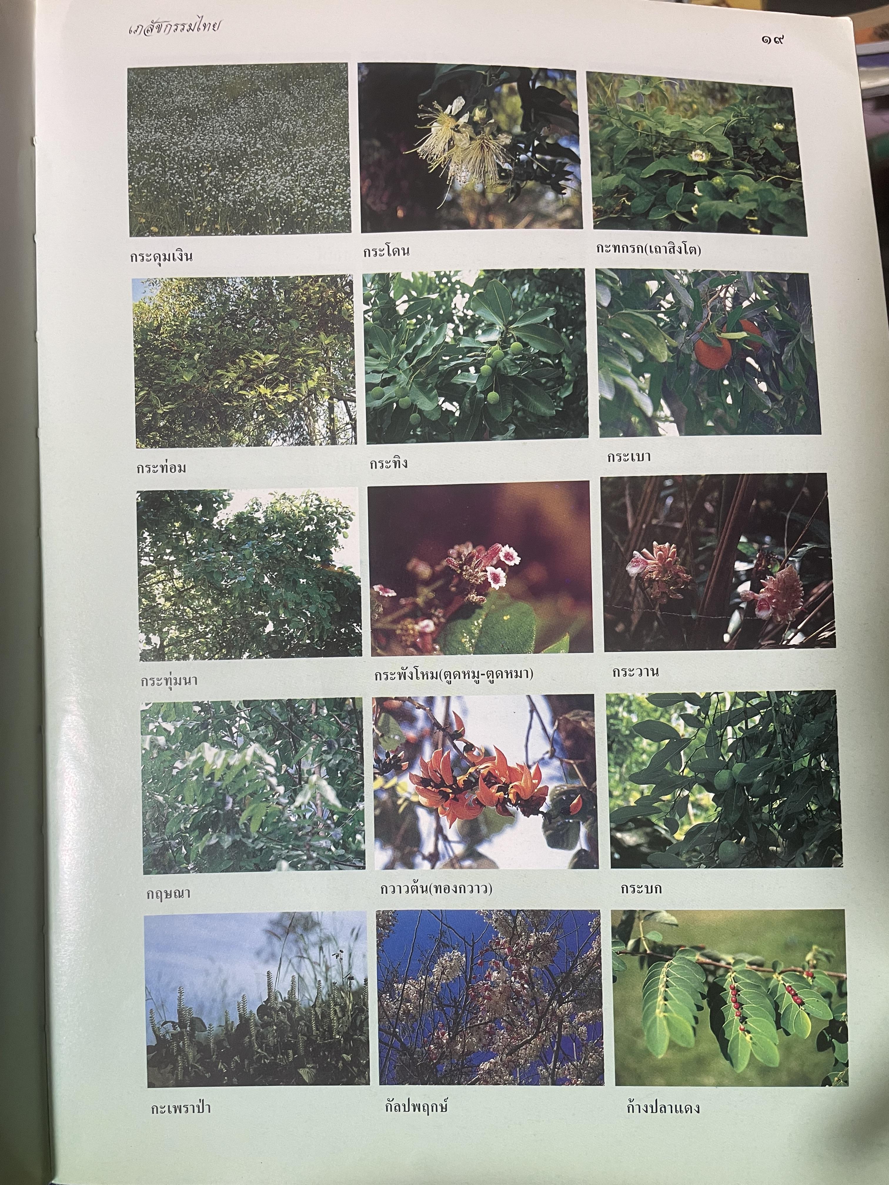 เภสัชกรรมไทยรวมสมุนไพร ฉบับปรับปรุงใหม่ โดน วุฒิ วุฒิธรรมเวช เป็นหนังสือมือสองเล่มใหญ่สภาพดี 4,500 กรัม