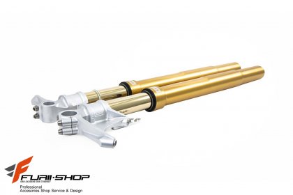 โช๊คอัพหน้า OHLINS FGRT 200 สำหรับ YAMAHA R1 2012