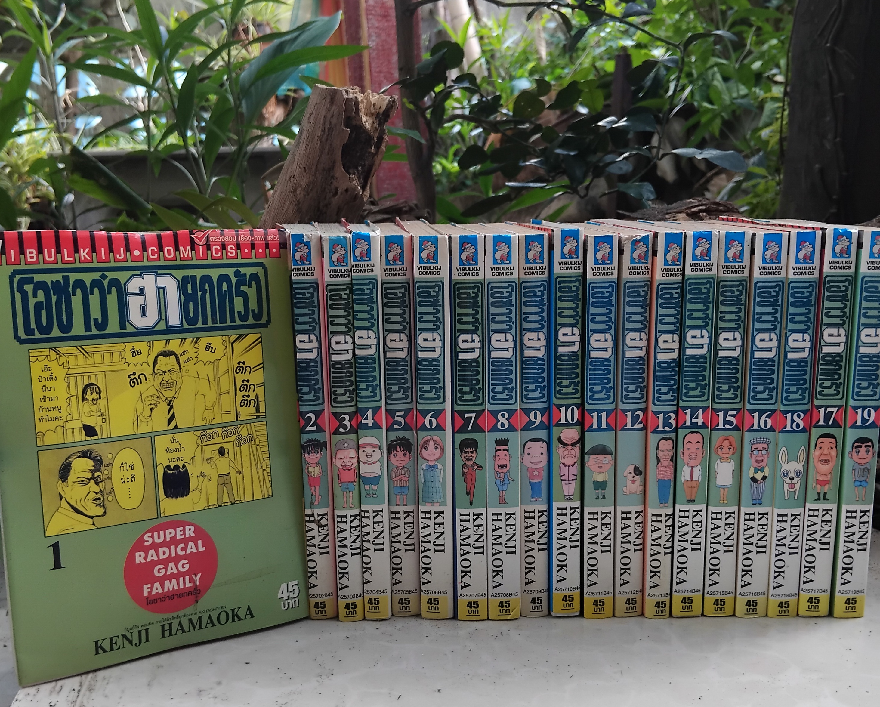 โอซาว่าฮายกครัว หนังสือสะสม เล่ม 1-19 ไม่ปั๊ม ไม่แม็ก สภาพสวยงามสุดๆ