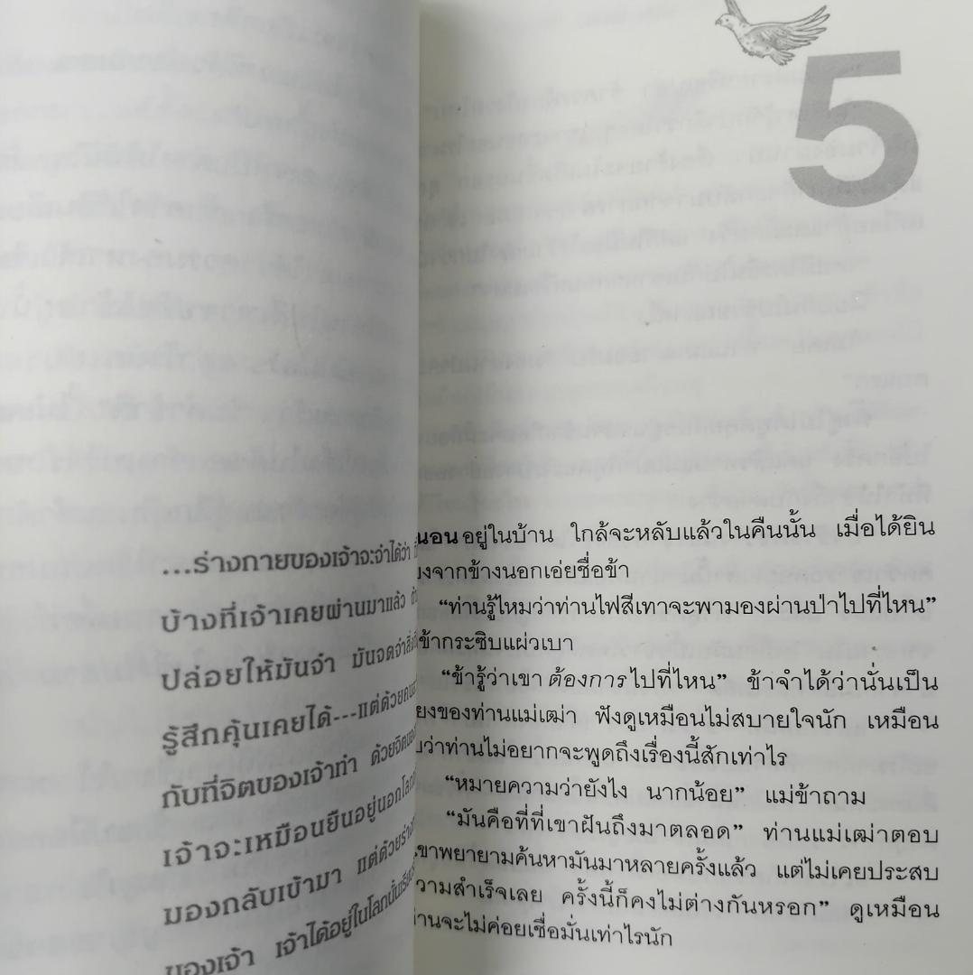 มองผ่านป่า ผู้ที่เห็นจากสรรพเสียง Sees Behind Trees โดย Michael Dorris วรรณกรรมแปลเยาวชน มือ 1